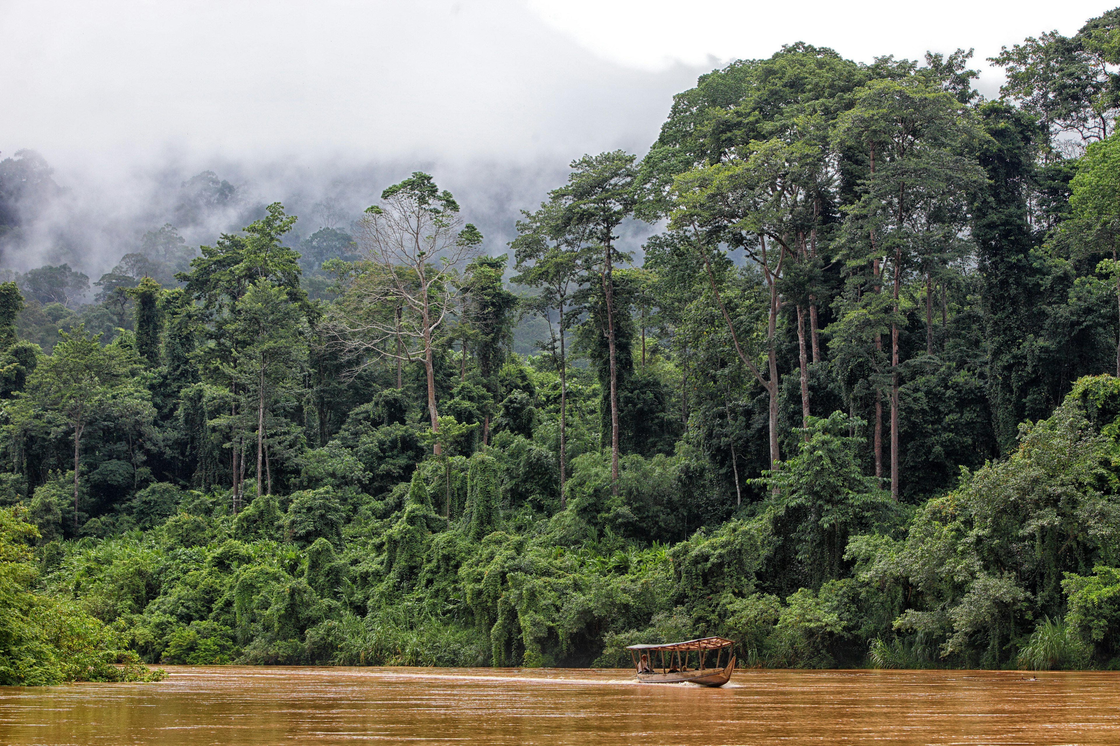 Boat travelling in Malaysia, Pahang, Taman Negara National Park, jungle at Sungai Tembeling