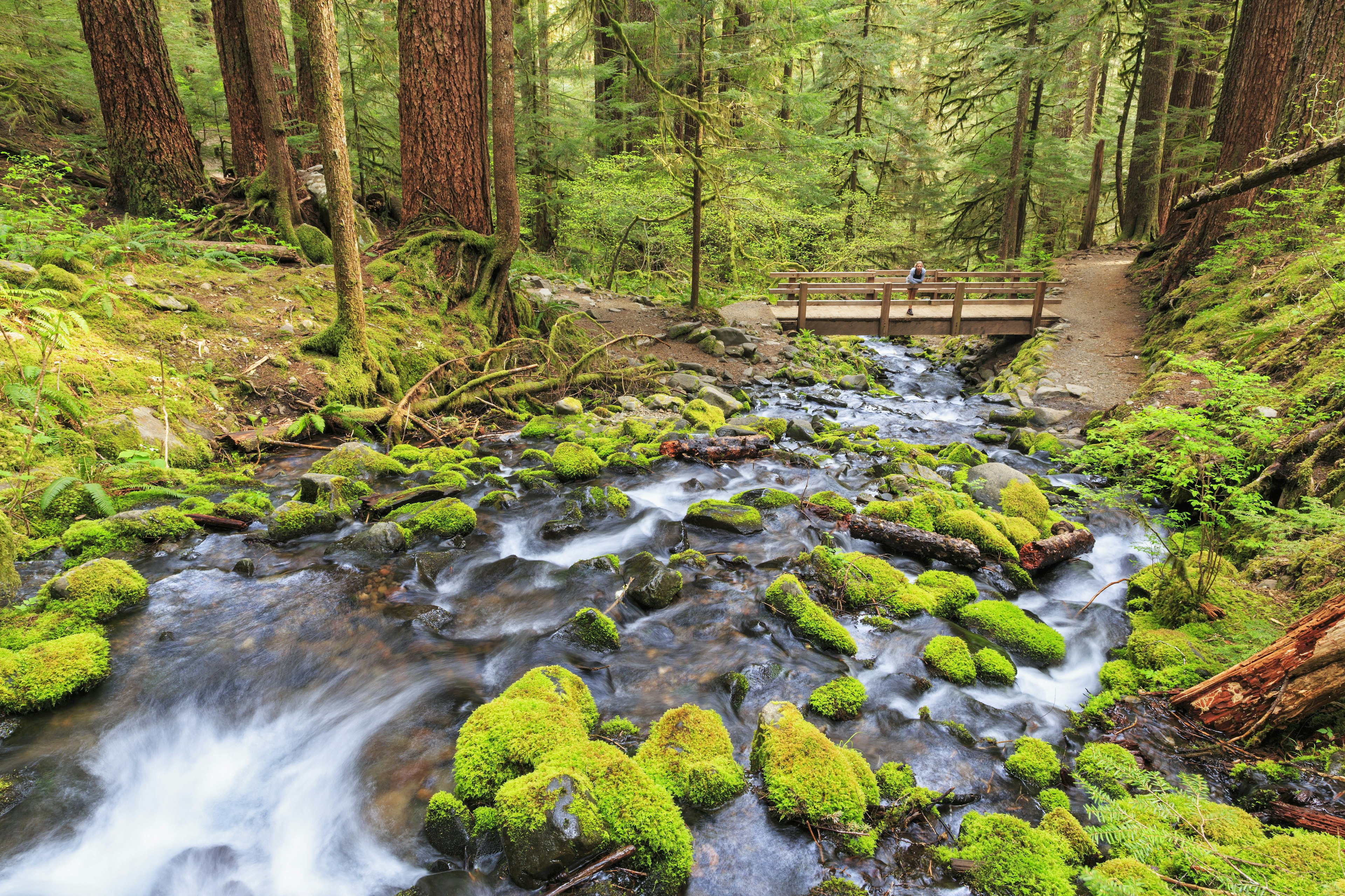 Sol Duc river and wooden bridge in Olympic National Park