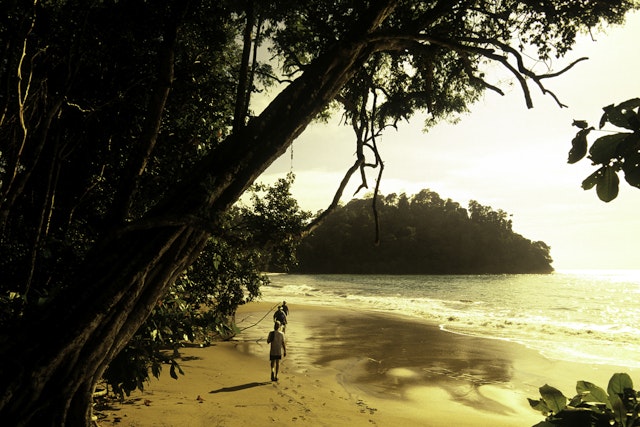 People walk along the edge of a beach next to a jungle