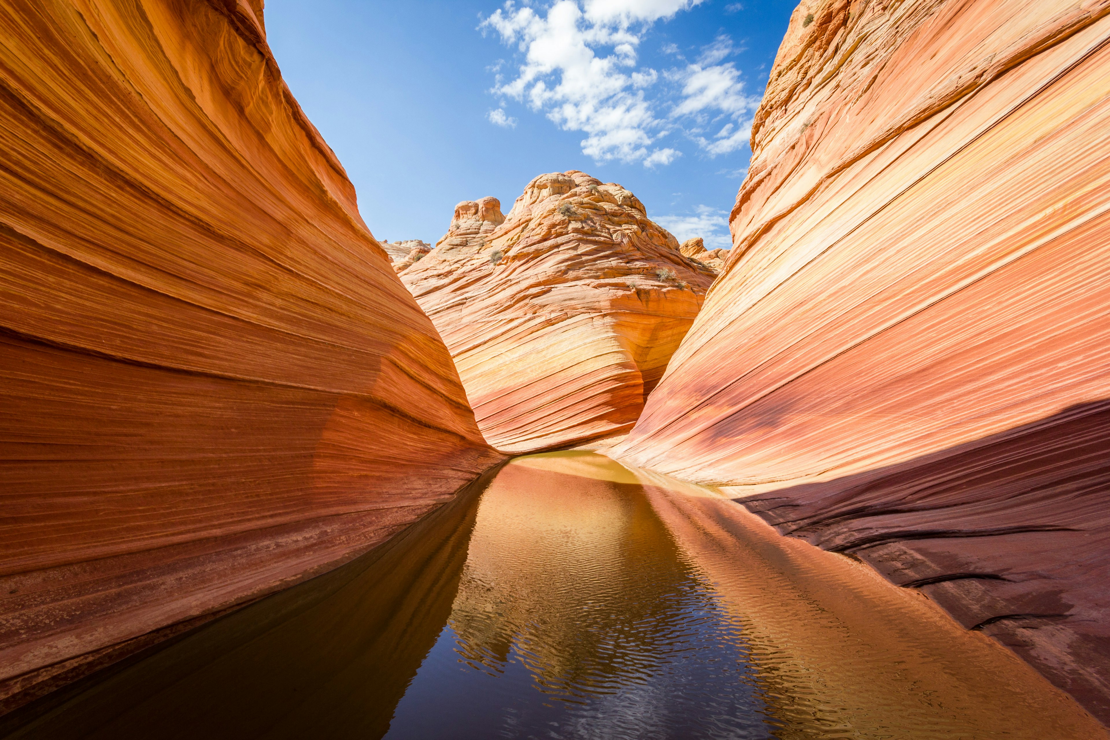 The Wave reflections