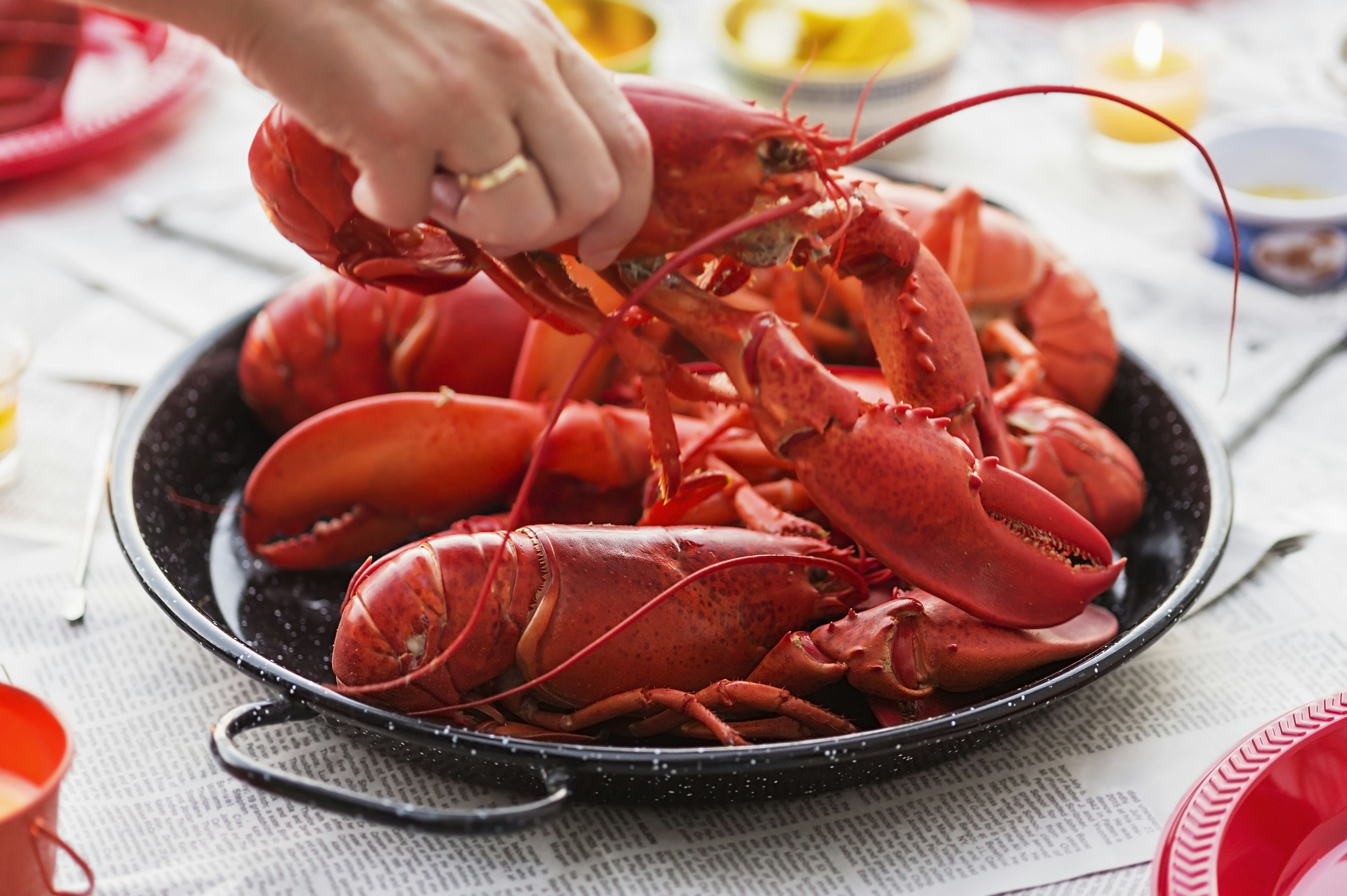 Person taking a lobster from a plate in Camden, Maine