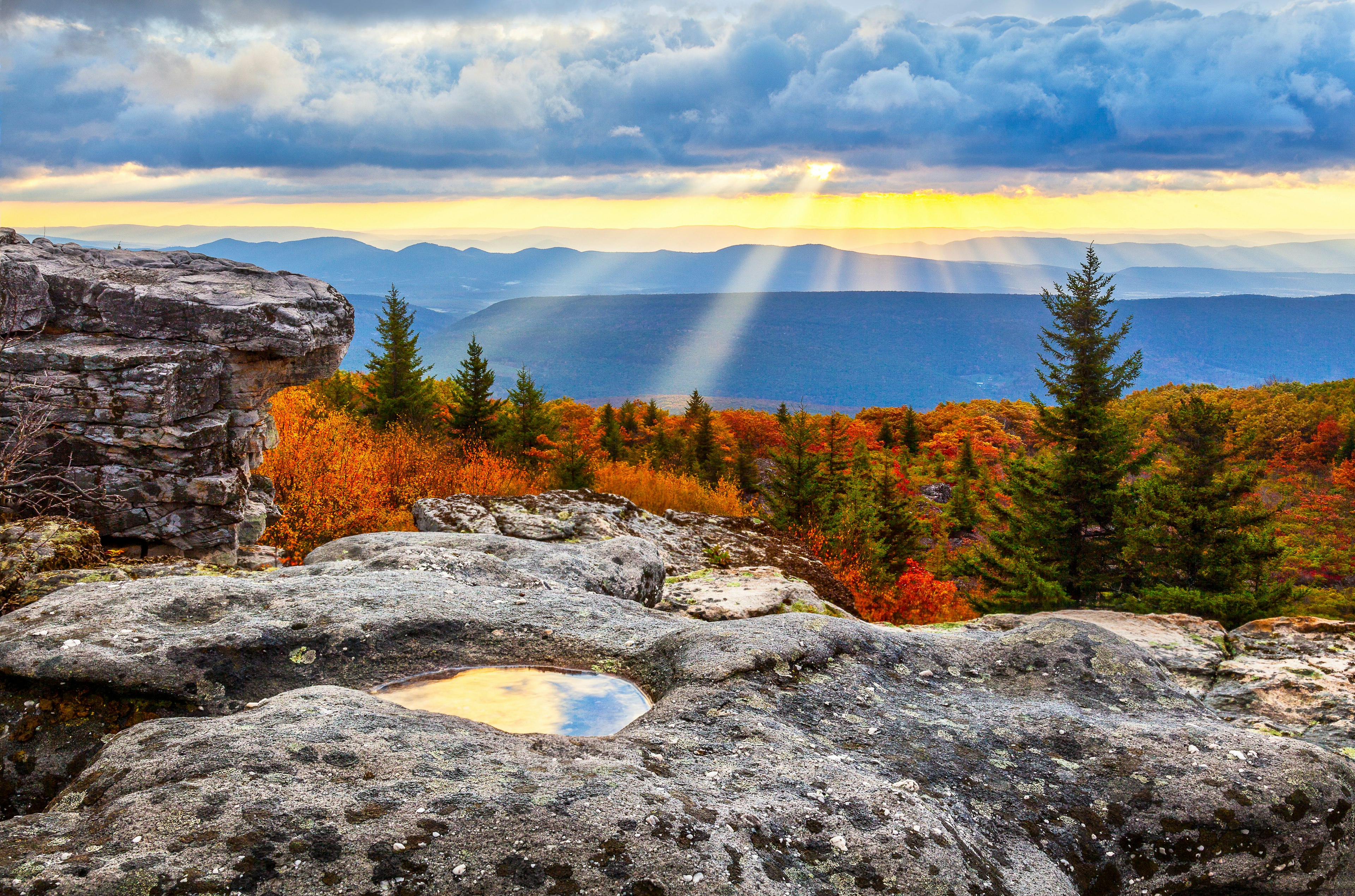 Sunrise from Dolly Sods Wilderness Area in West Virginia, with autumn foliage and sunbeams coming through dark clouds