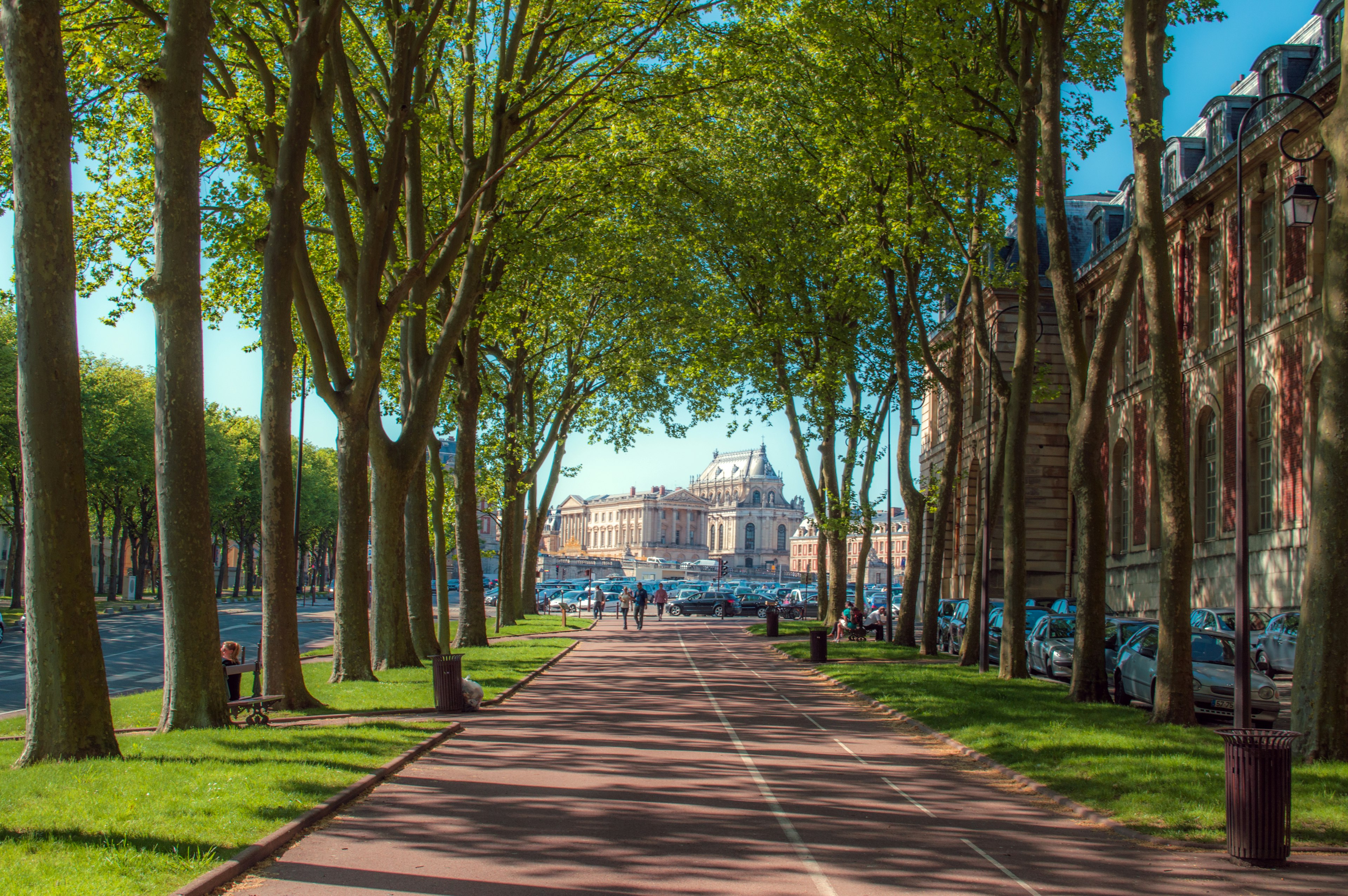 Avenue of trees leading to Chateau de Versailles