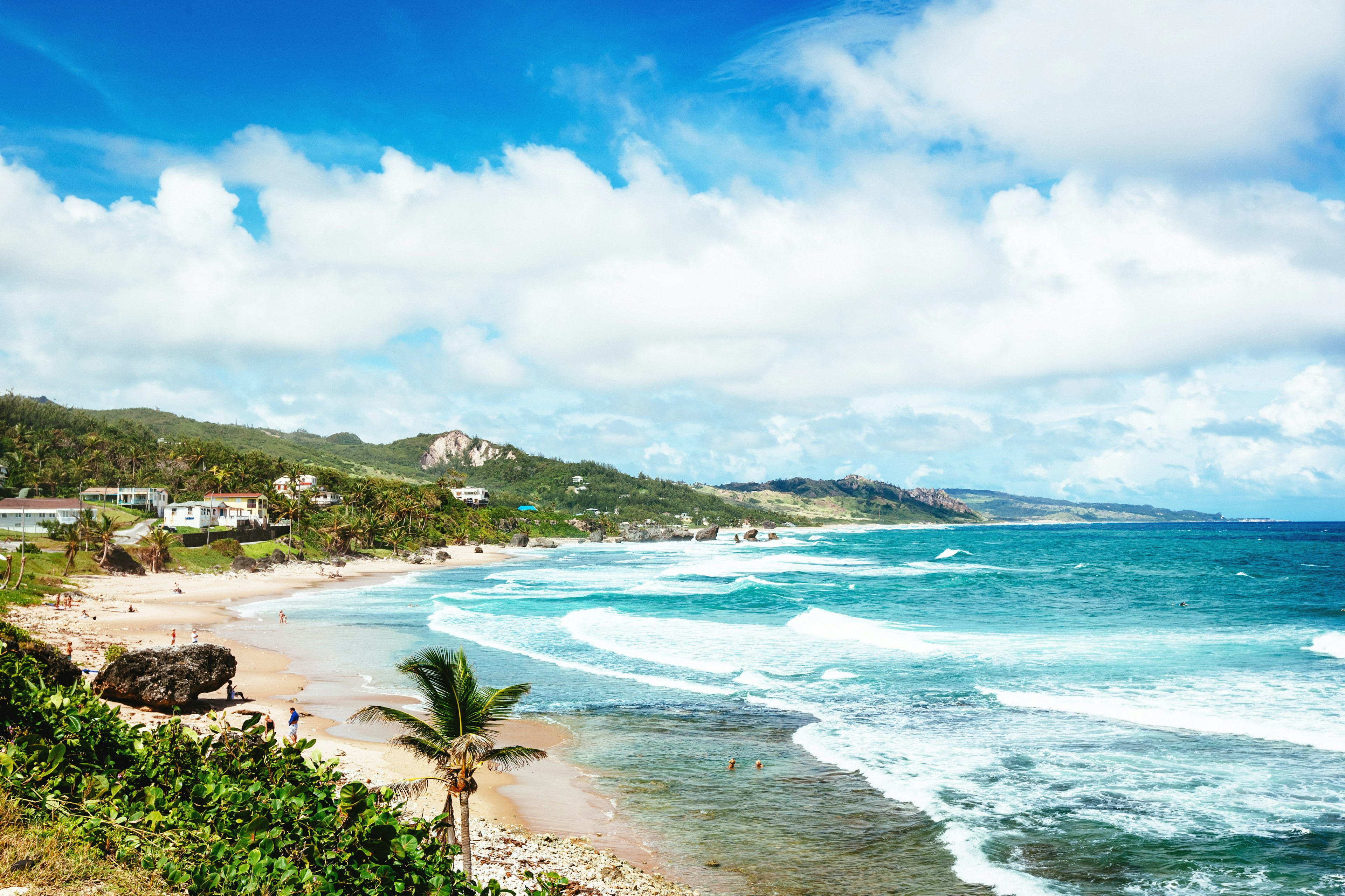 Palm trees framing a white-sand beach with turquoise water on a bright day