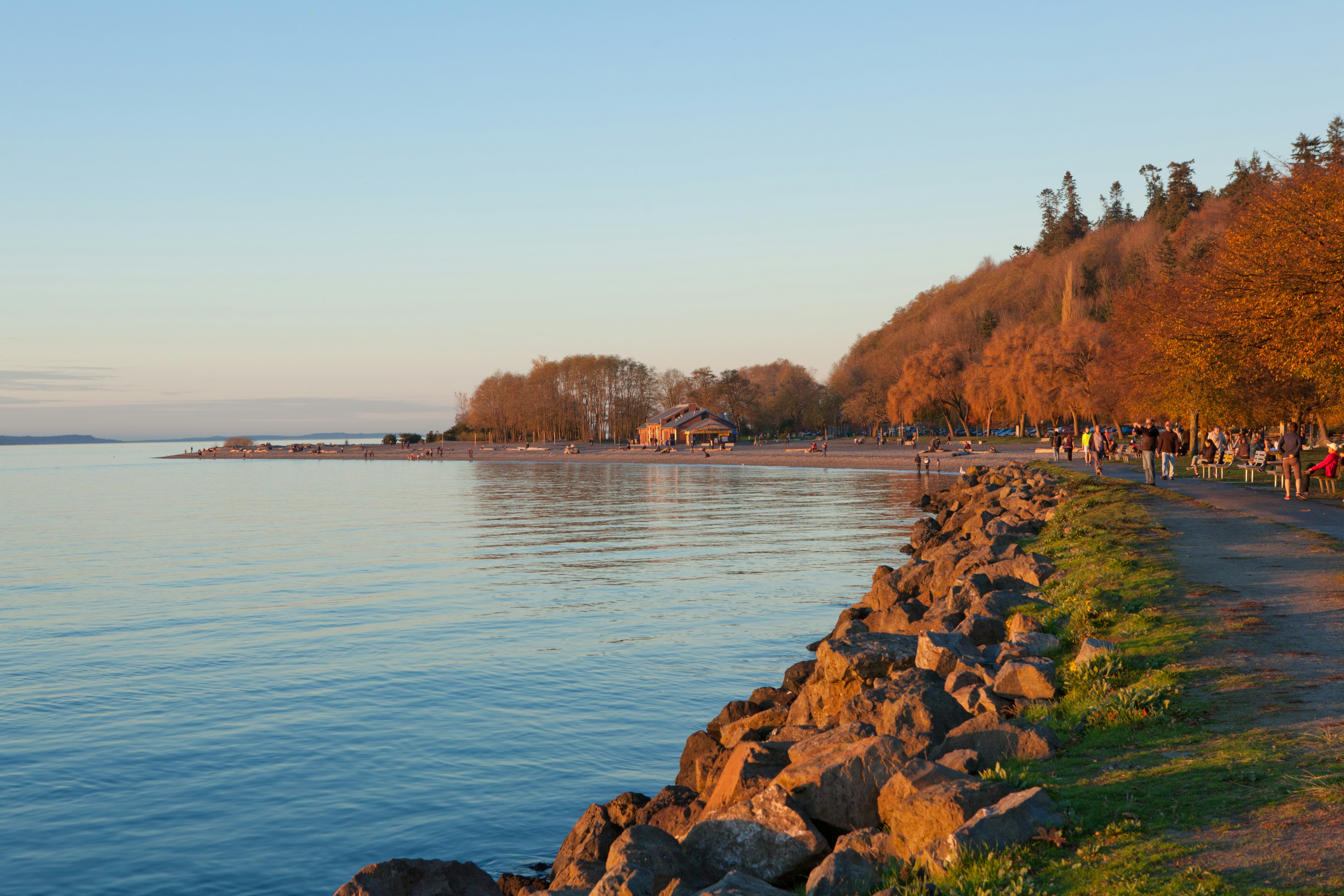 A rocky coastline with fall colors in the trees