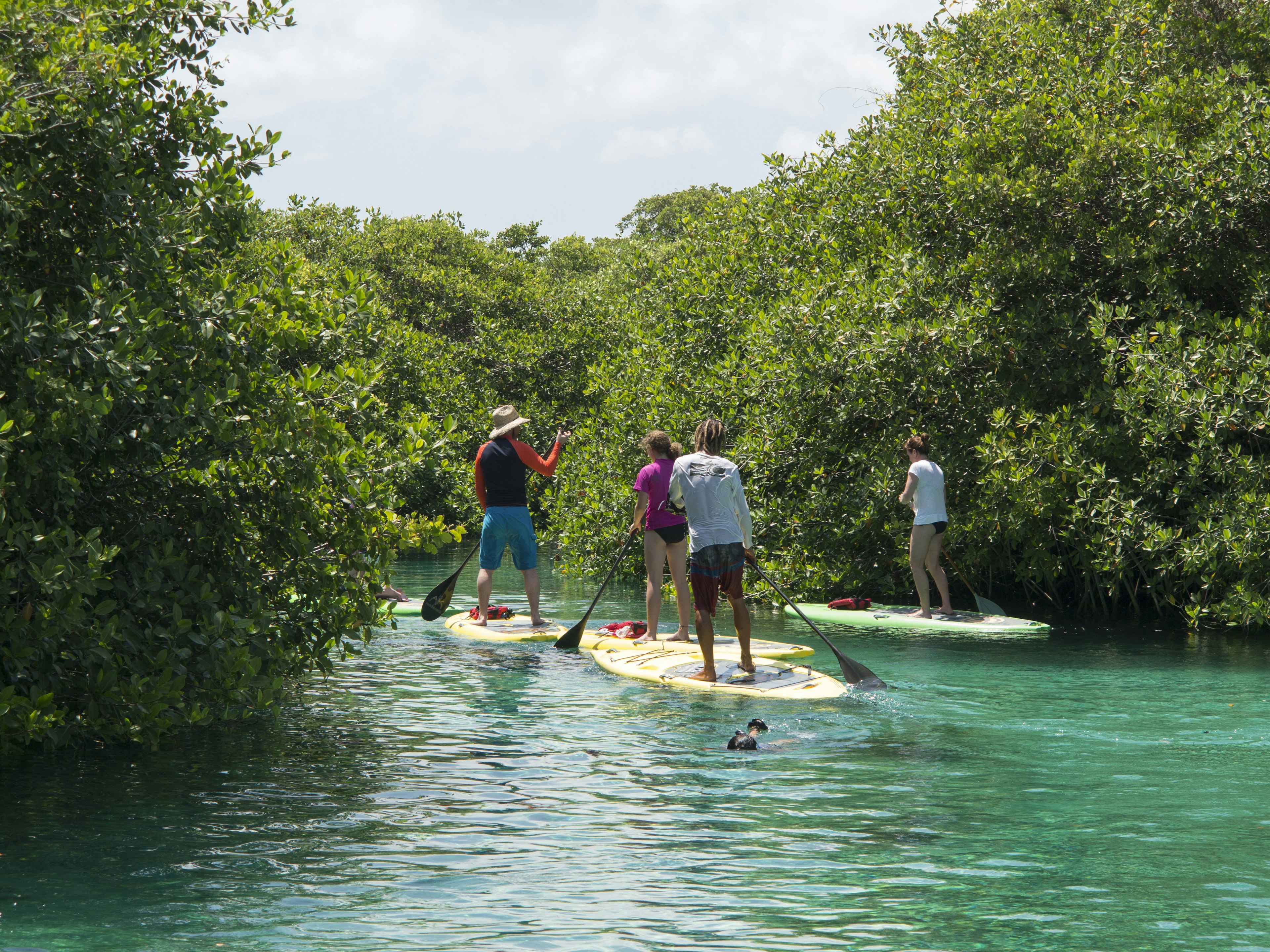 Water sport in Mexican Sinkhole (Cenote), Mexico