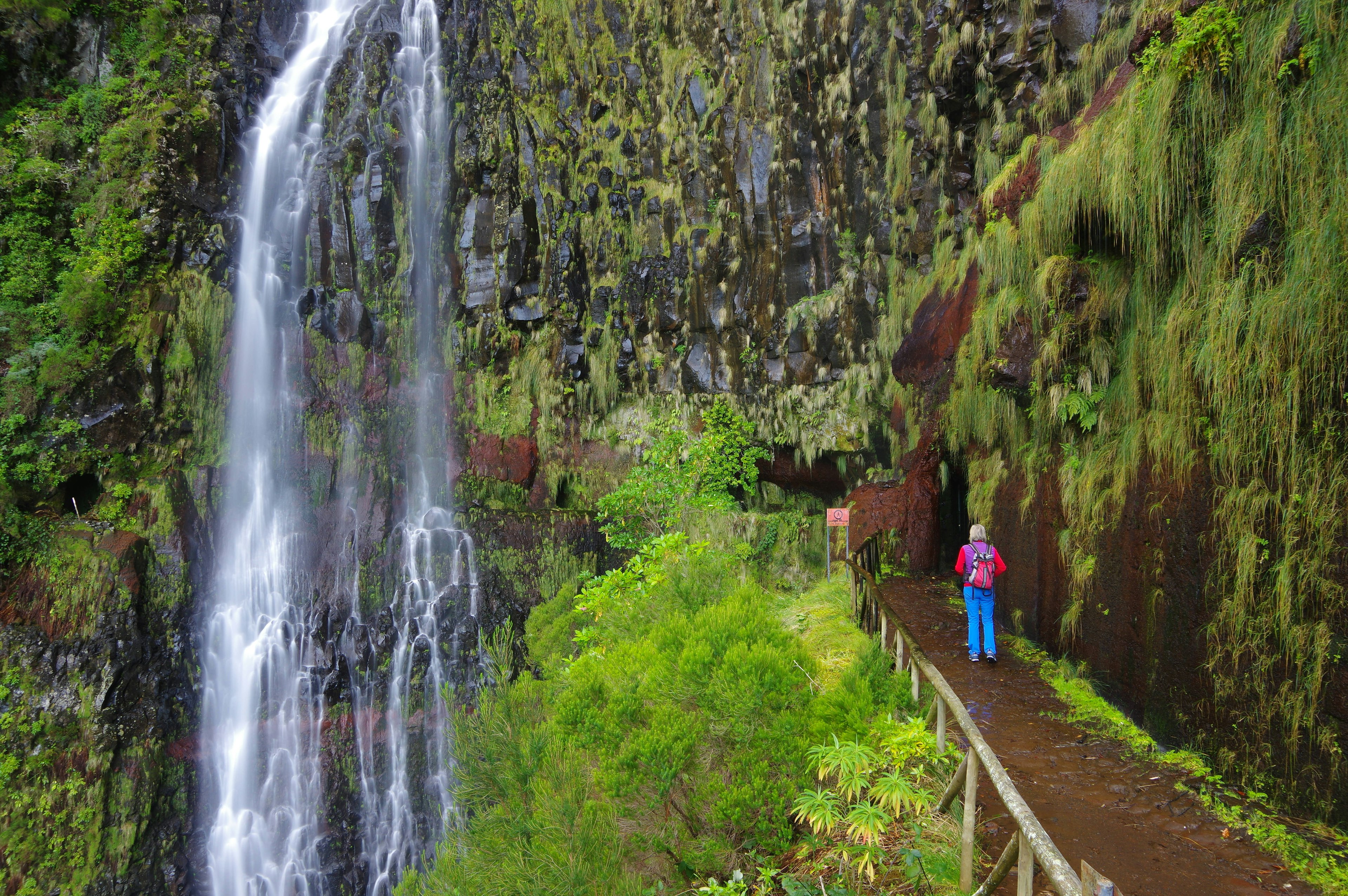 A woman walks along a narrow woodland pathway with lots of greenery around heading towards a cascading waterfall.