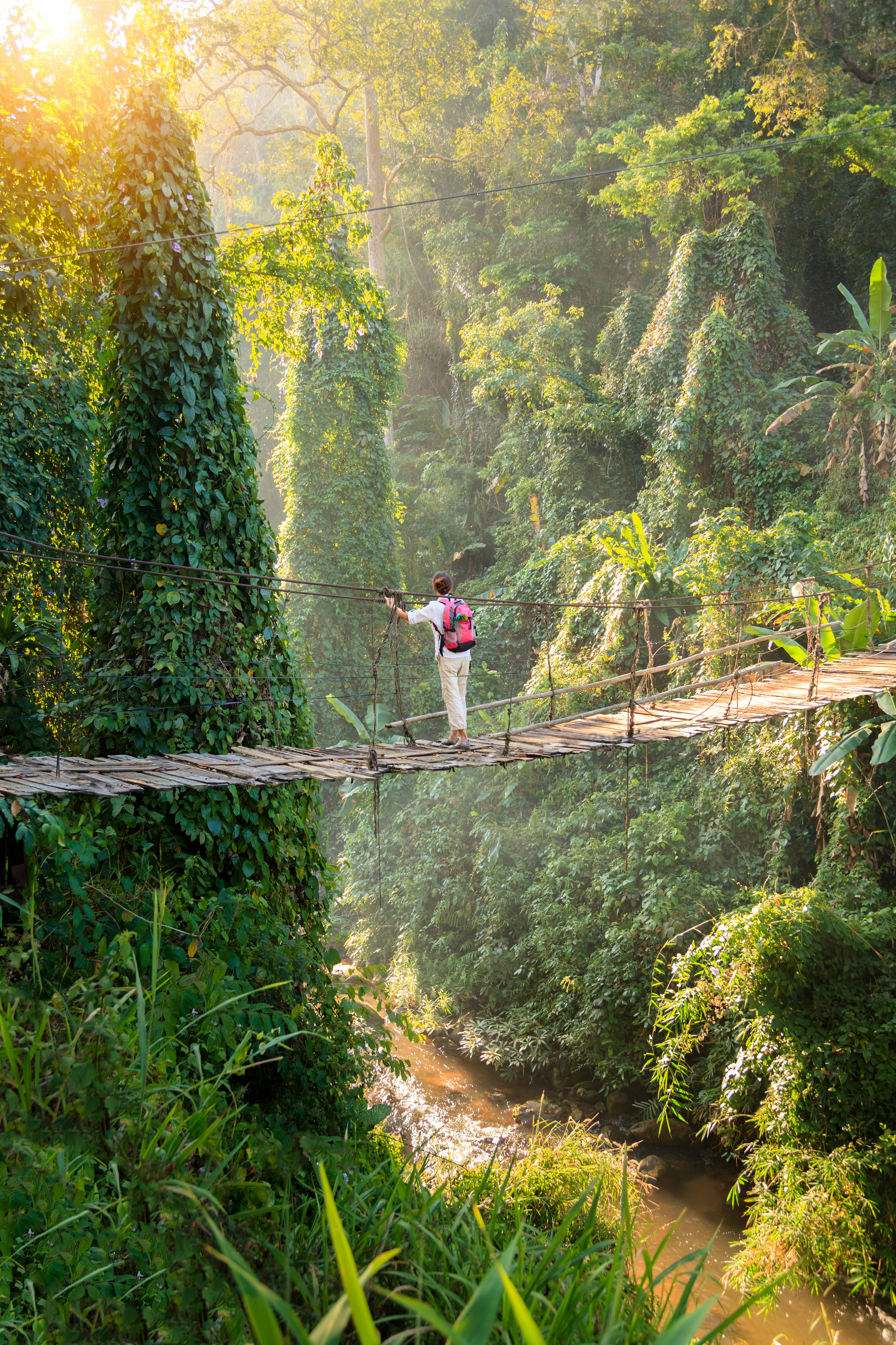 Backpacker on suspension bridge in rainforest