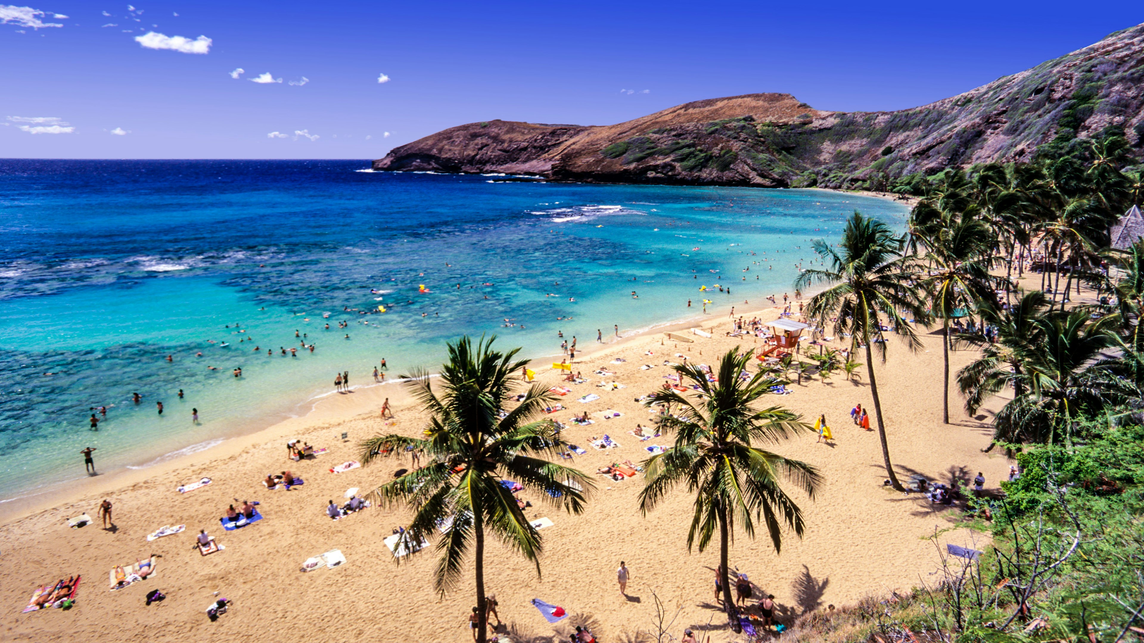 Beach and palms at Hanauma Bay Nature Preserve