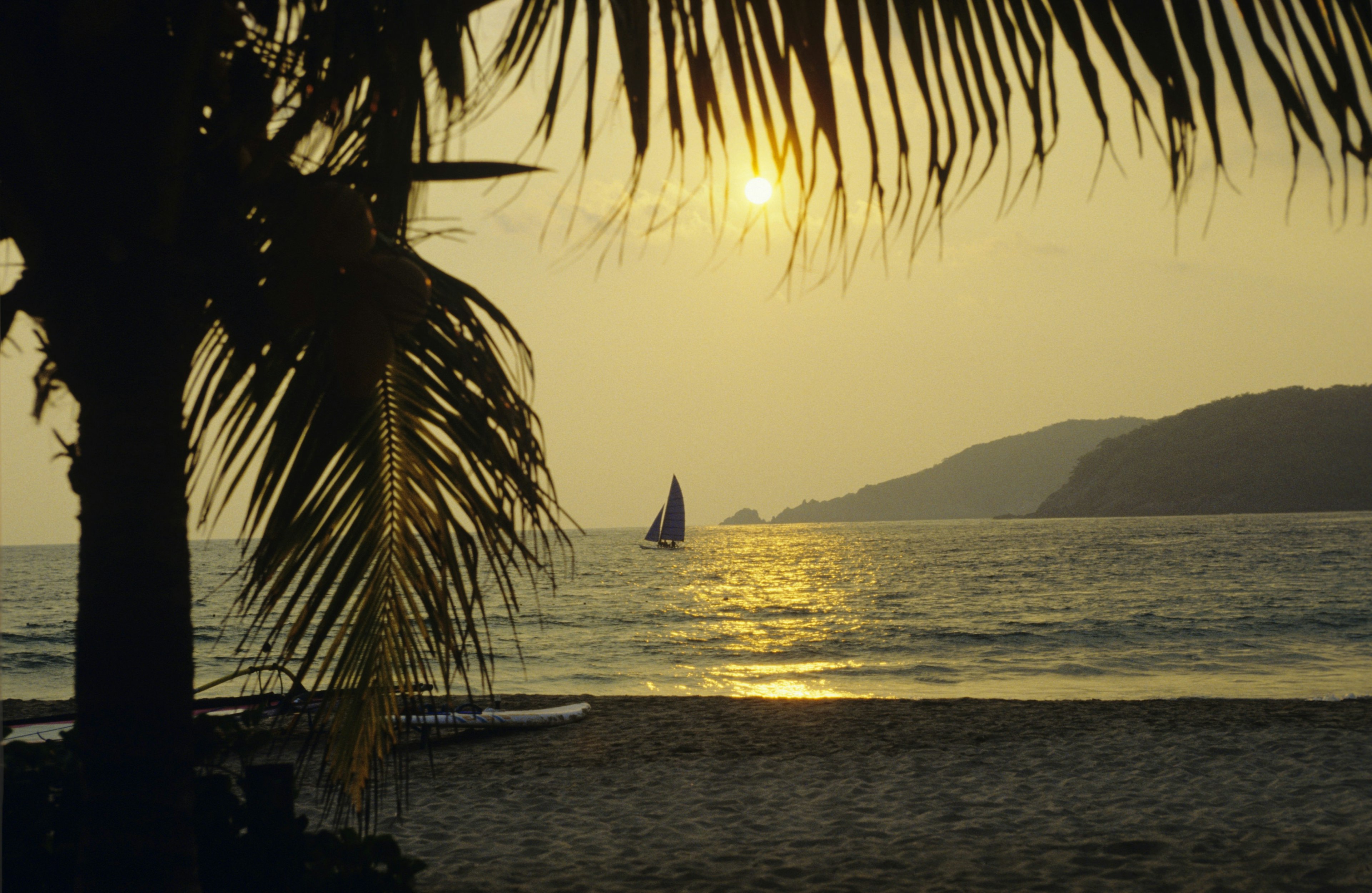 A sailboat at sunset, seen in silhouette, framed by palm trees and beach