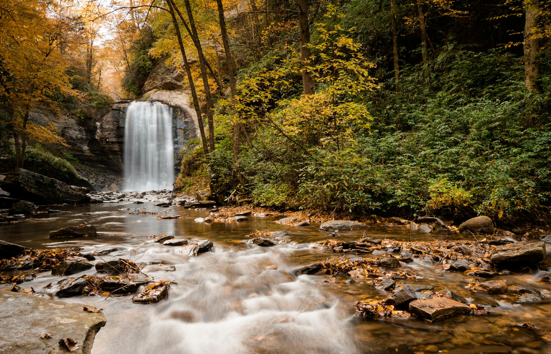 Long exposure of Looking Glass Waterfall near Brevard in the Appalachian Mountains of North Carolina, USA.