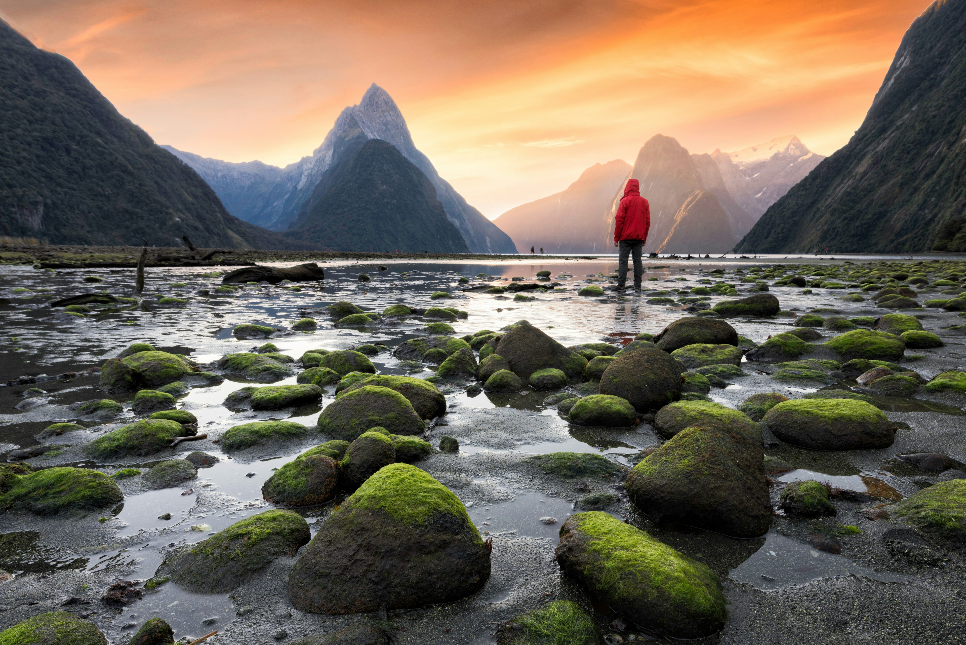 Milford Sound/Piopiotahi fiord in the south west of New Zealand's South Island