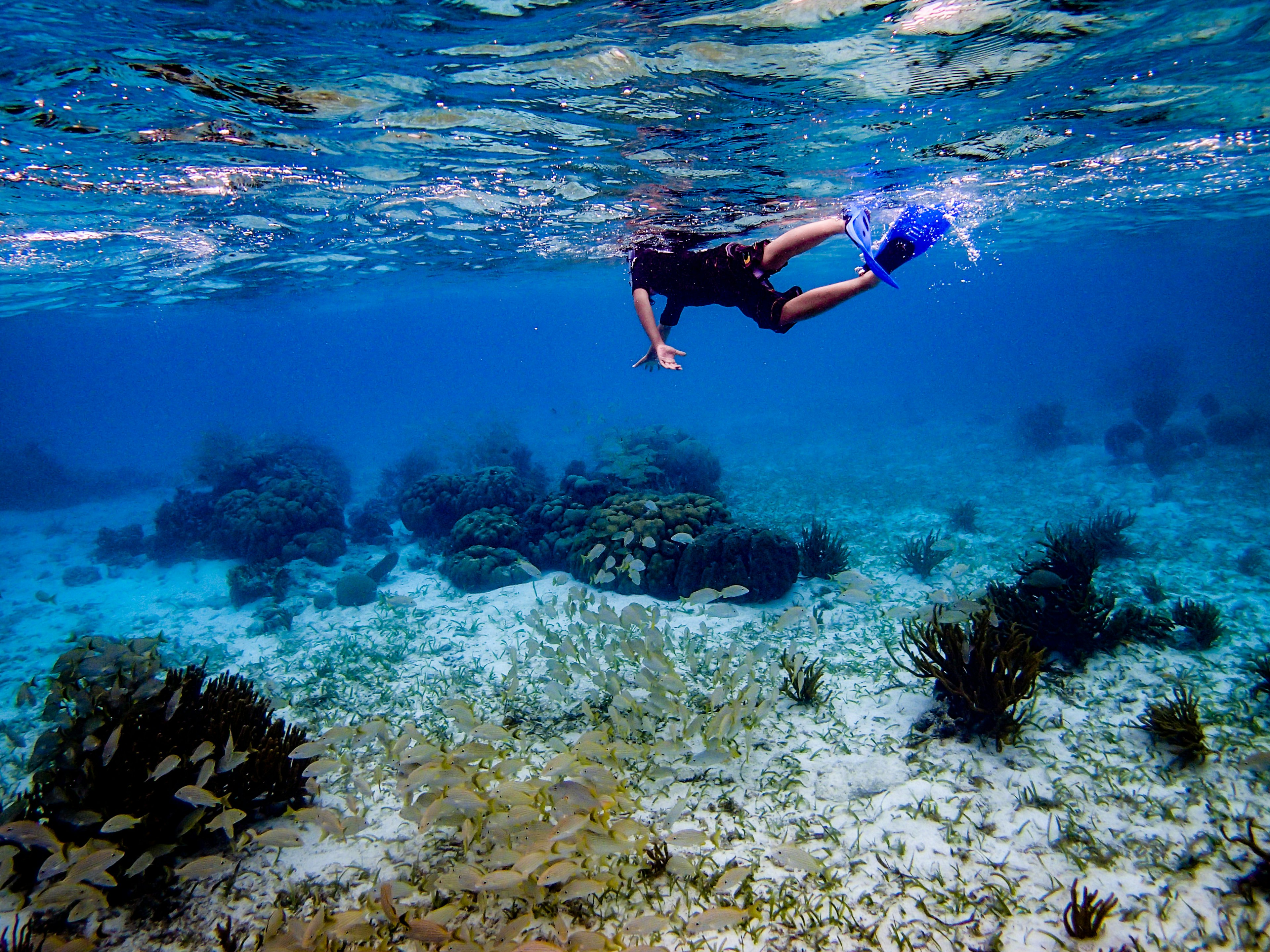 Boy Swimming In Sea Ambergris Caye, Belize, Central America