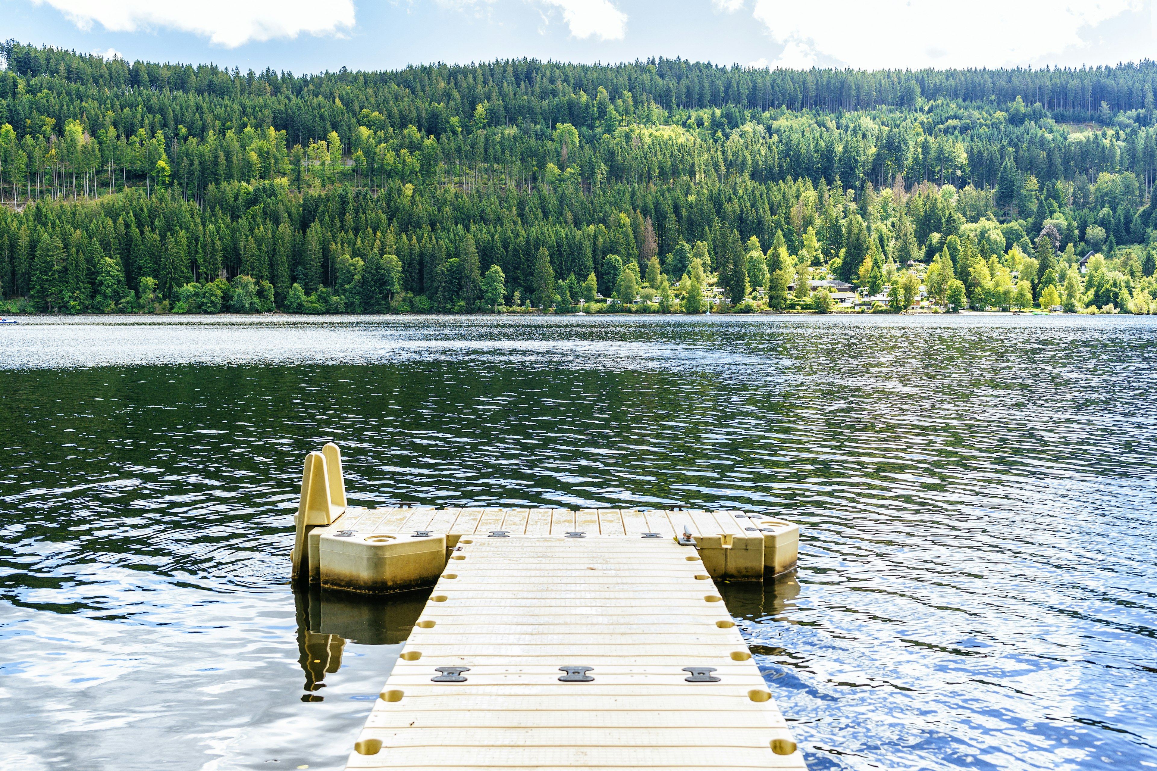 A jetty over a lake with dense green woodland in the distance