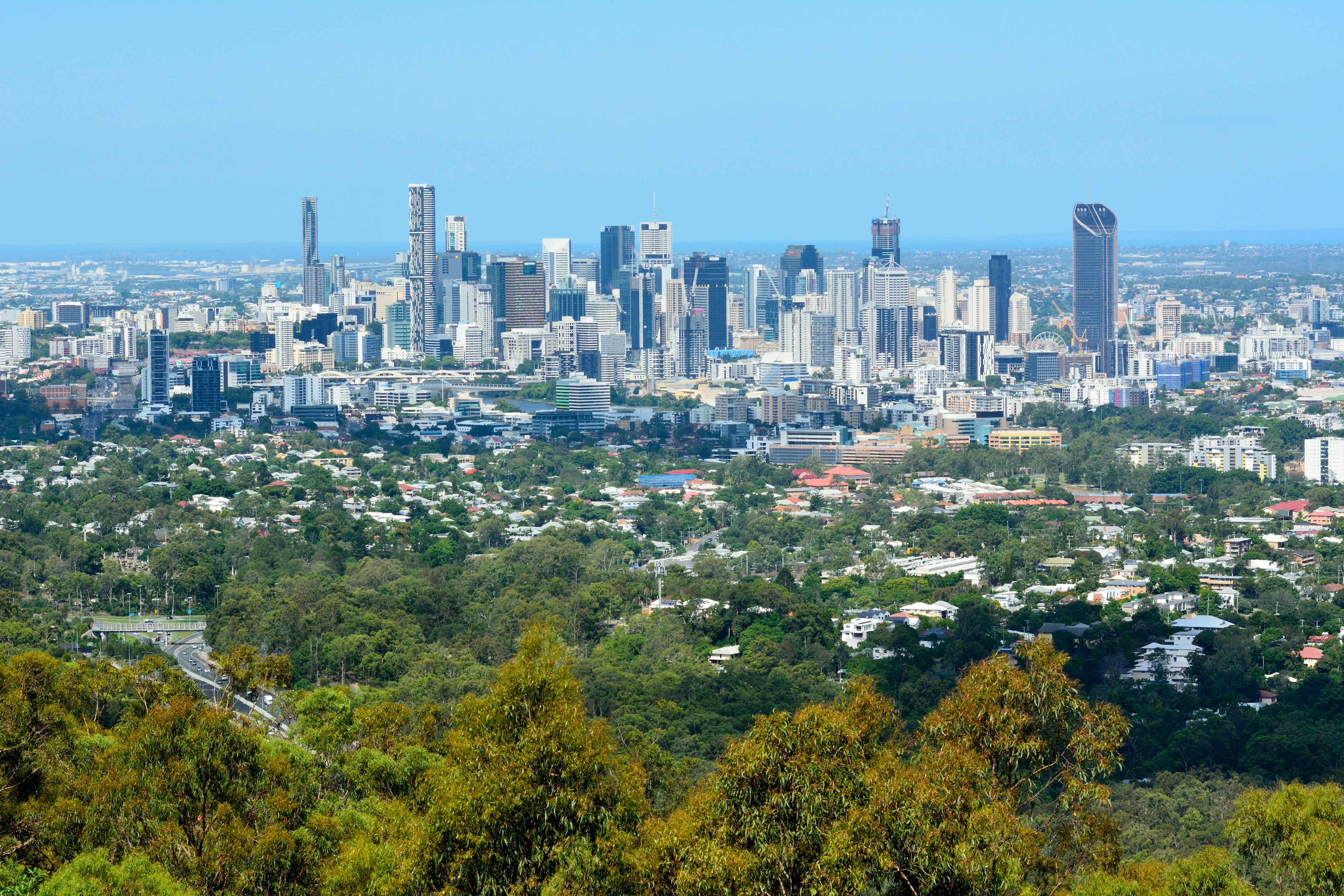 Views over Brisbane skyscrapers and forest from Mt Coot-Tha