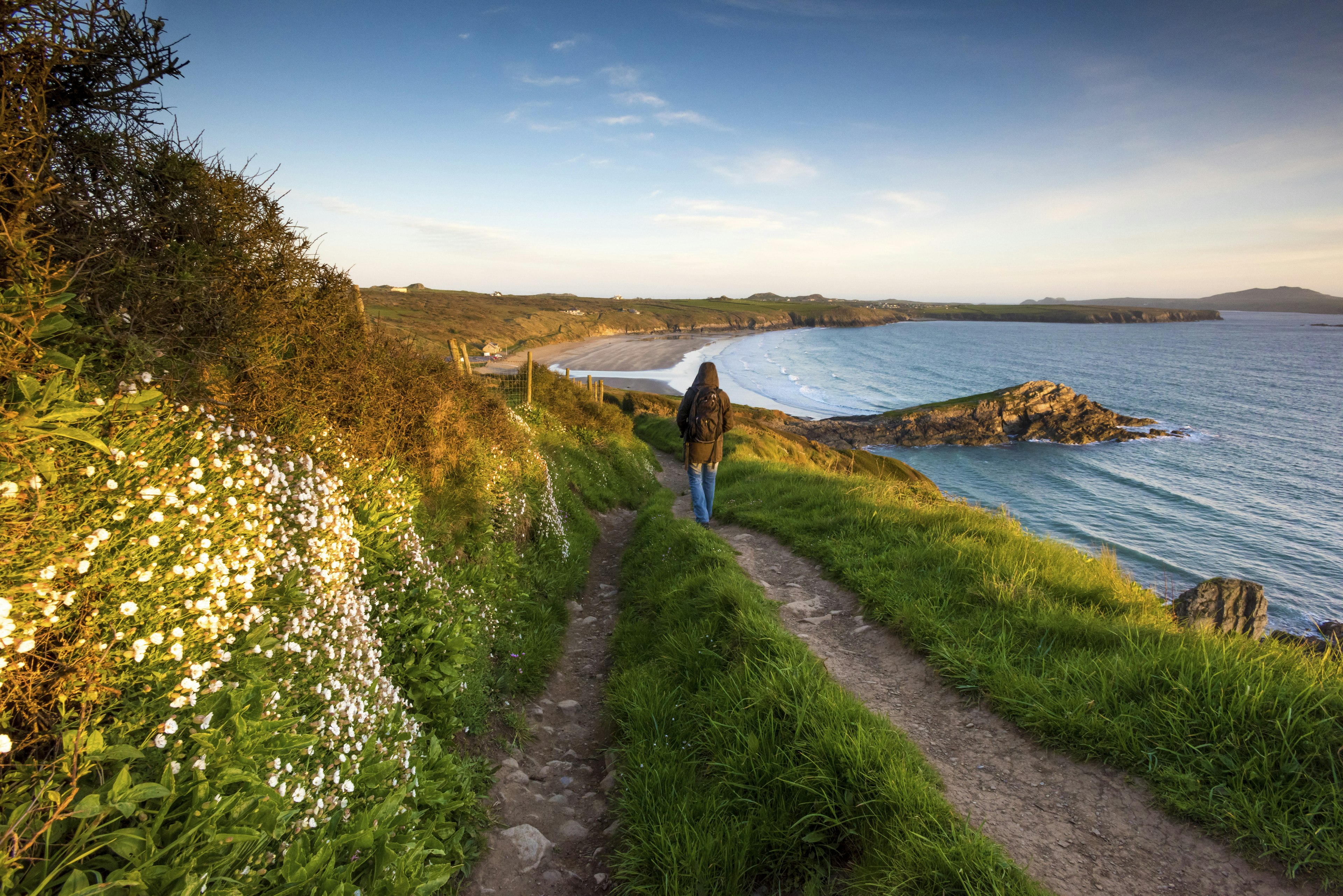 Walker on the Pembrokeshire coast path at Whitesands near St. Davids, Wales