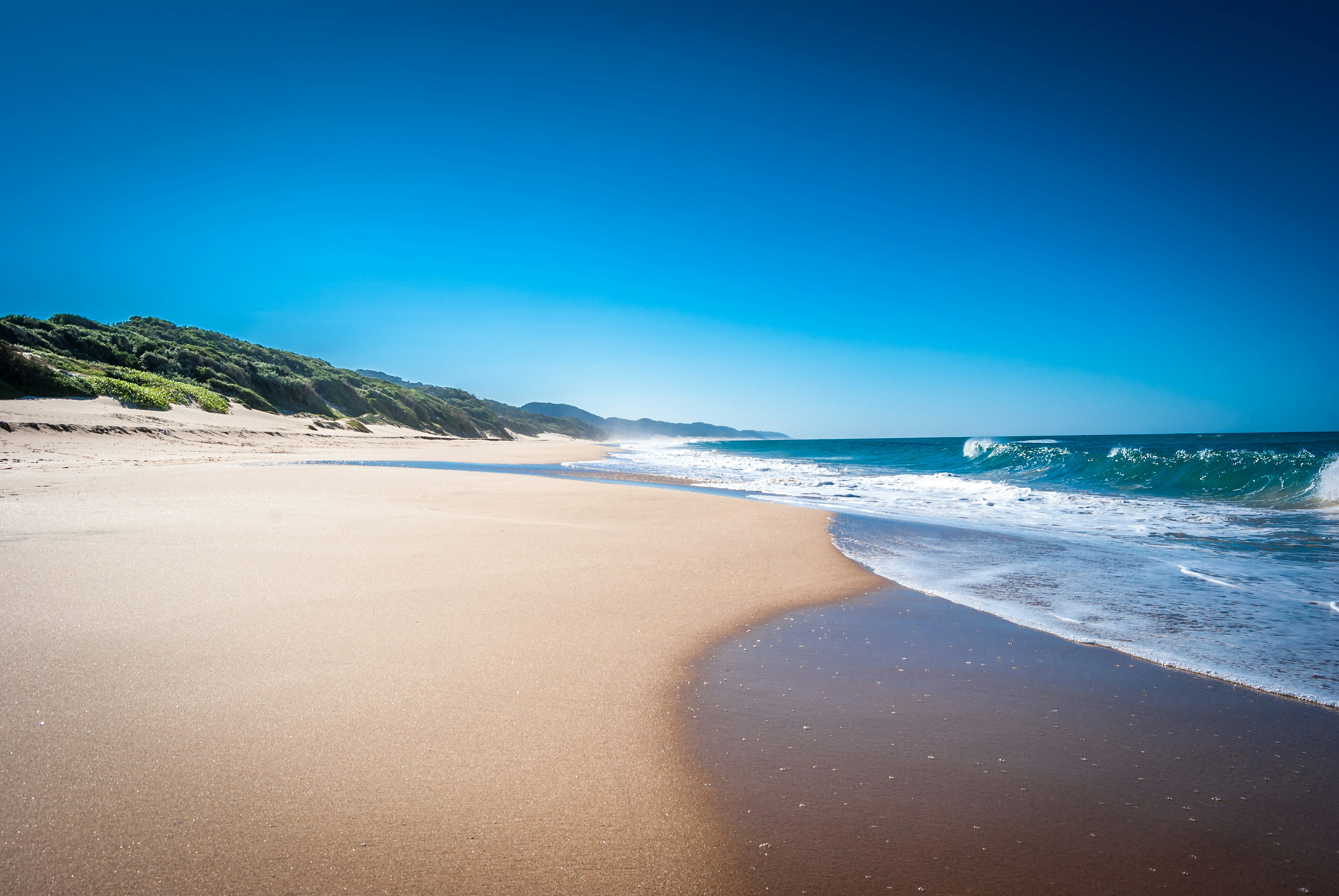 A long empty golden sand beach at Cape Vidal backed by vegetation