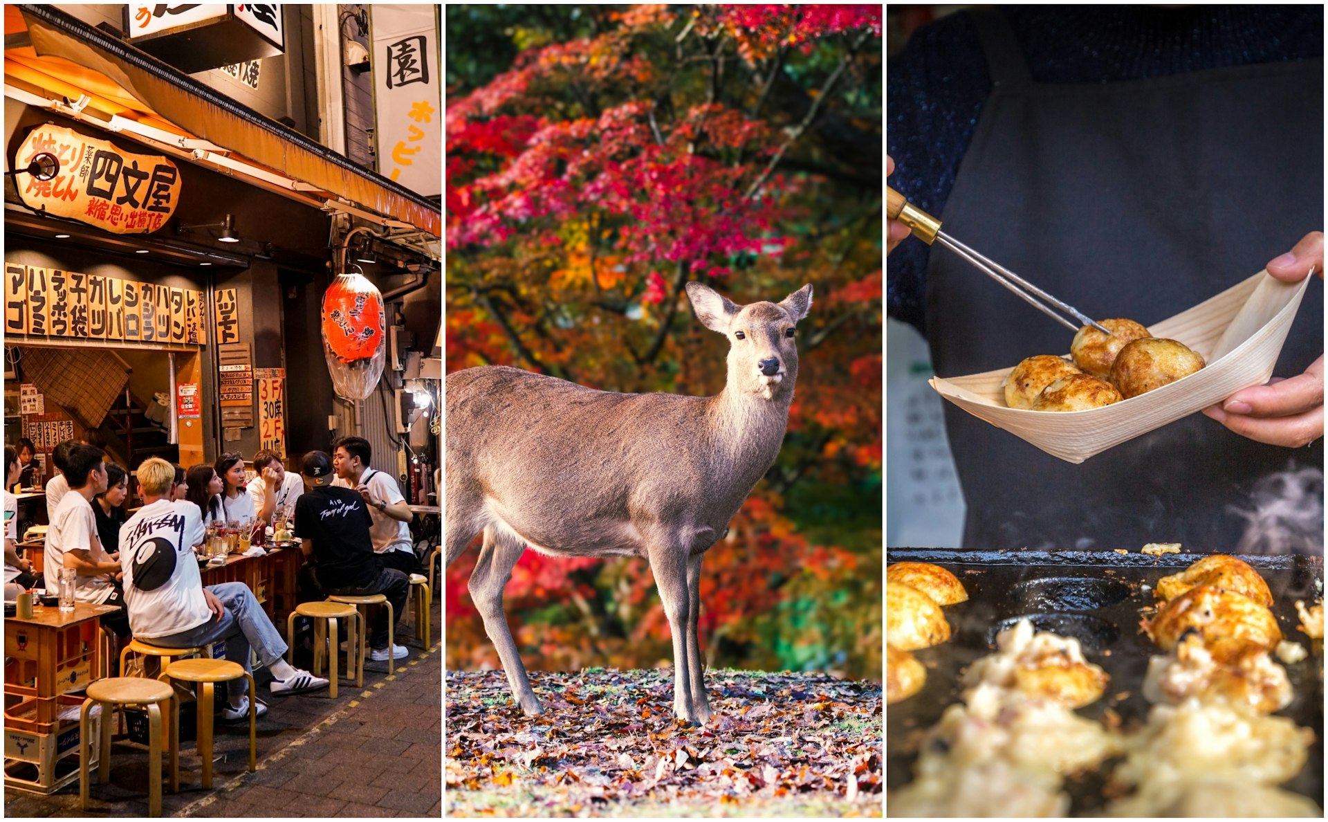 Left: People sat outside a bar with paper lanterns hanging above them; center: a deer in parkland; right: street food being prepared. 