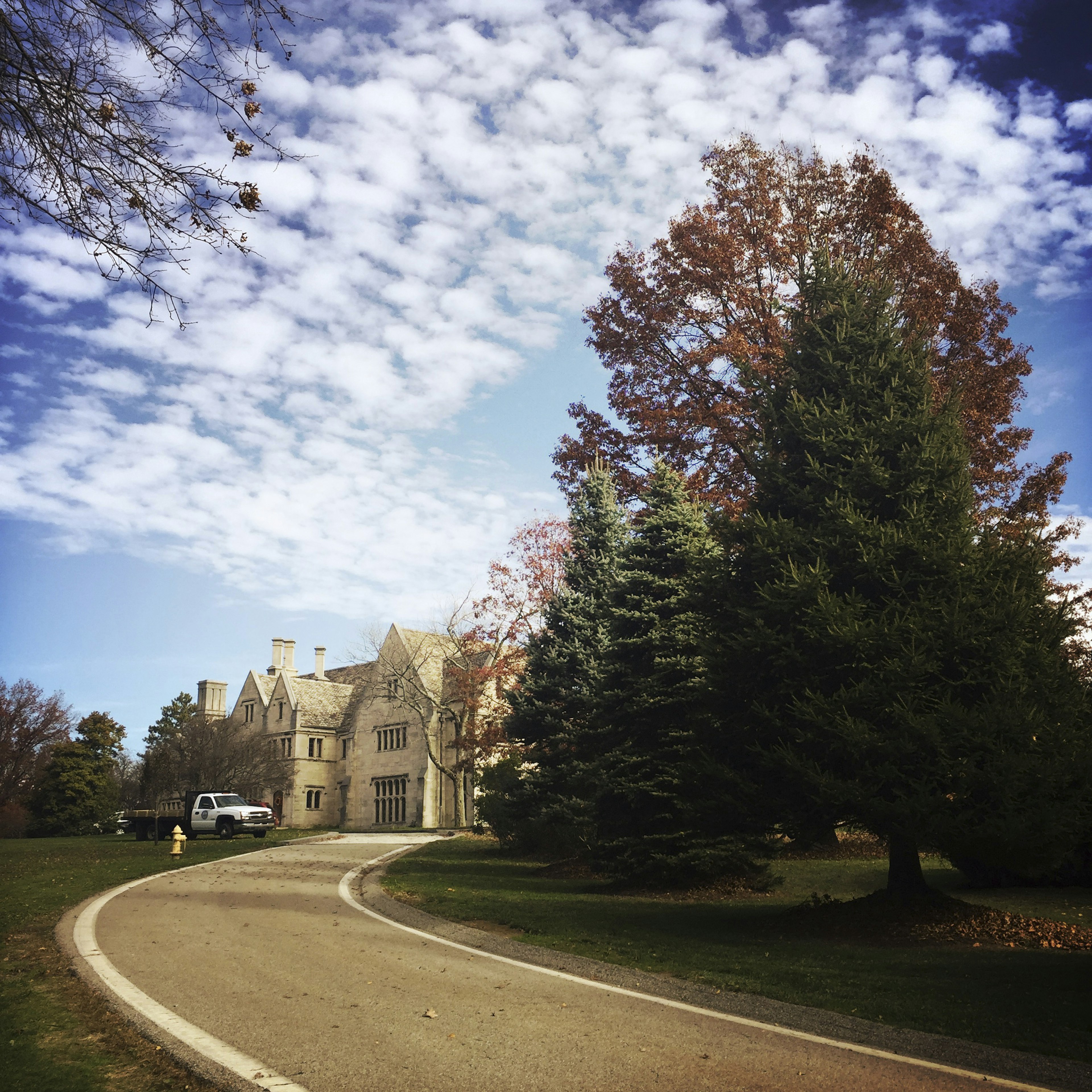 A white truck is parked on the grass in front of a light brown mansion. There is a large tree to the left of the frame.