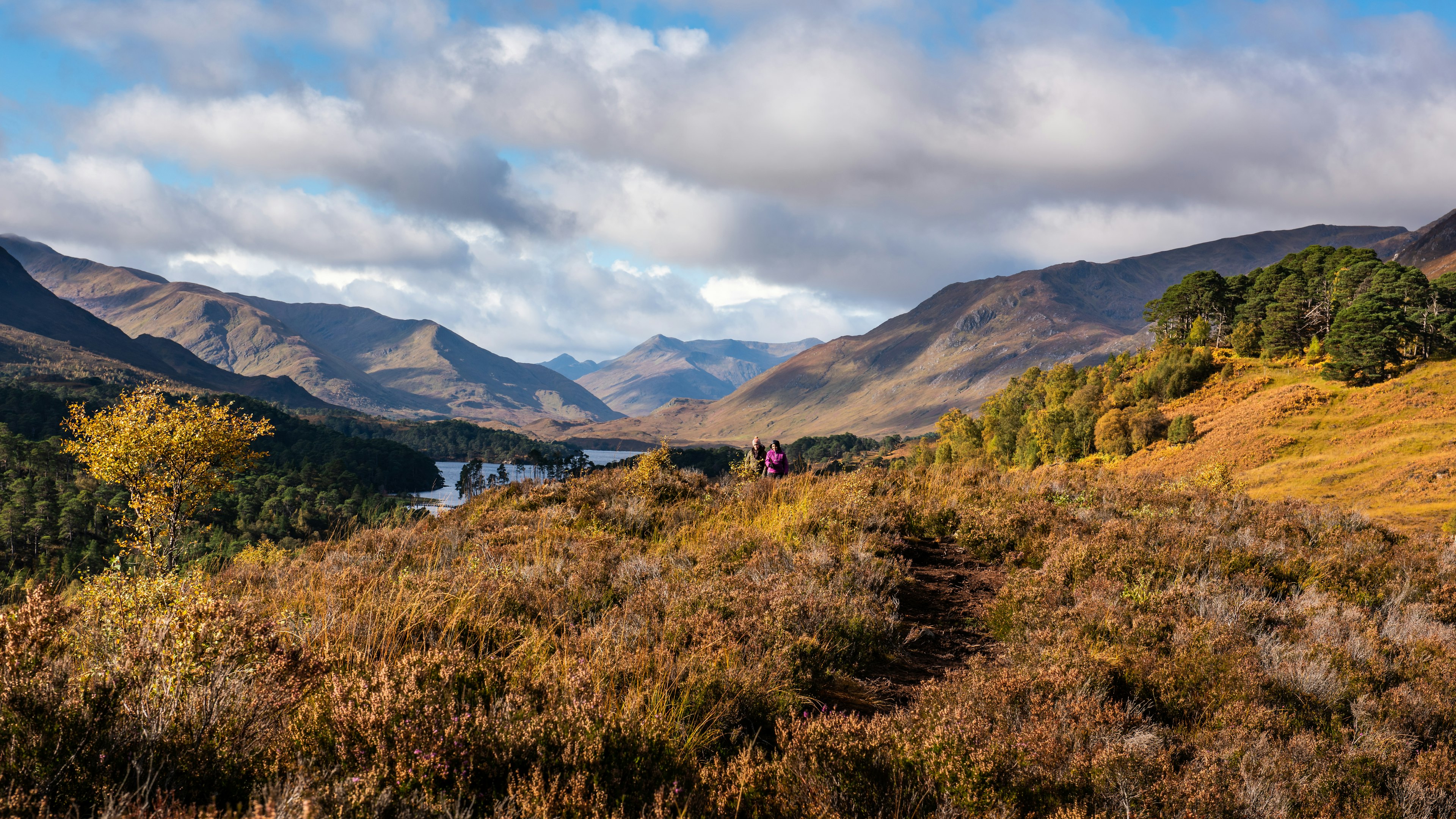 Walkers in Glen Affric, a great scenic hike in Scotland