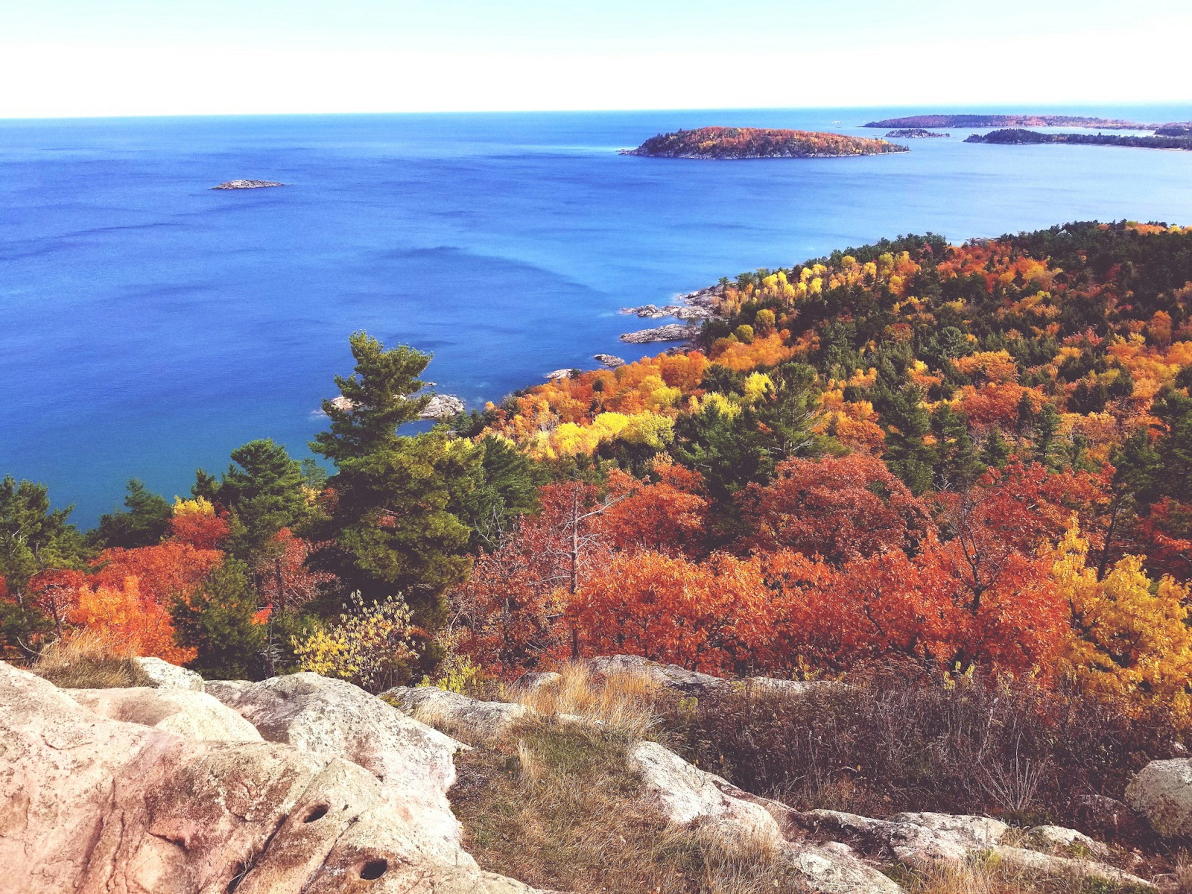 High Angle View Of Trees By Sea Against Sky