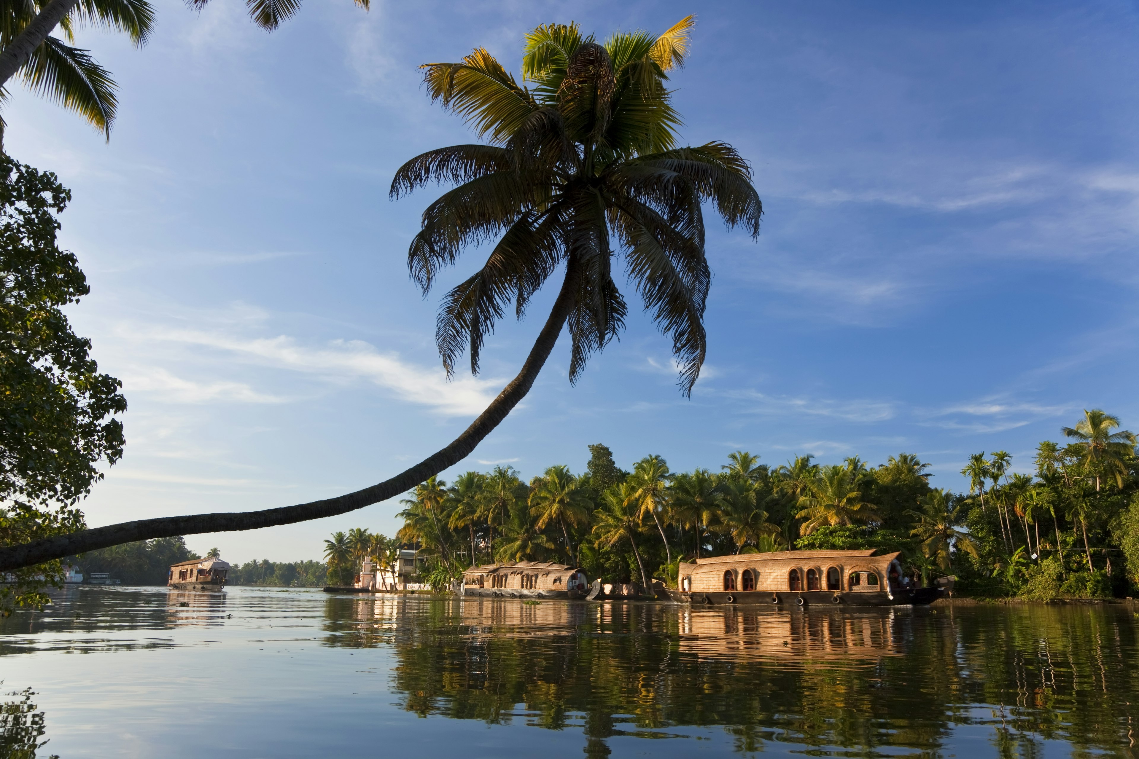 Houseboat, Backwaters, Alappuzha, Kerala, India