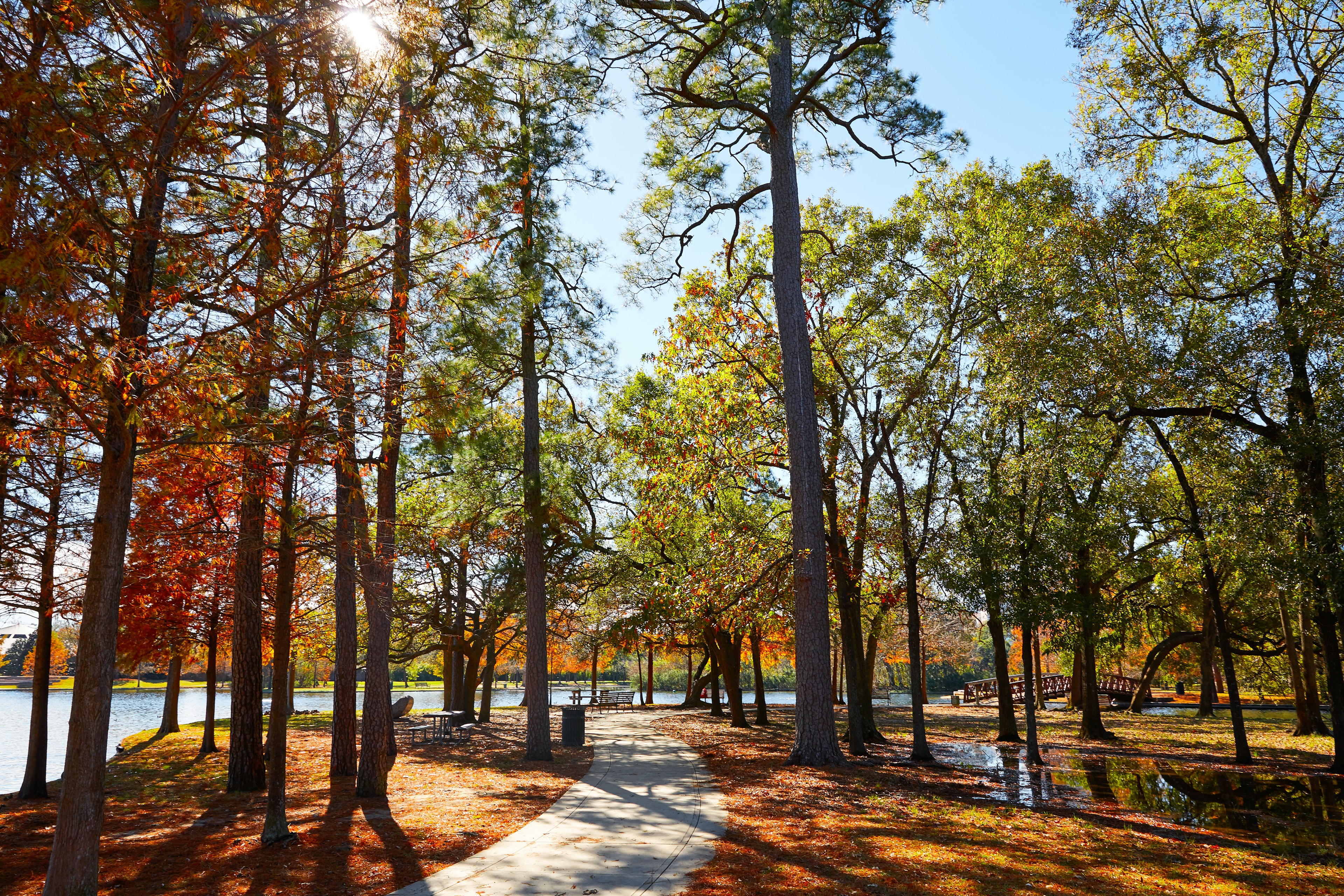 A footpath leads through woodland in Houston's Hermann Park. To the side of the woodland, a lake is visible.