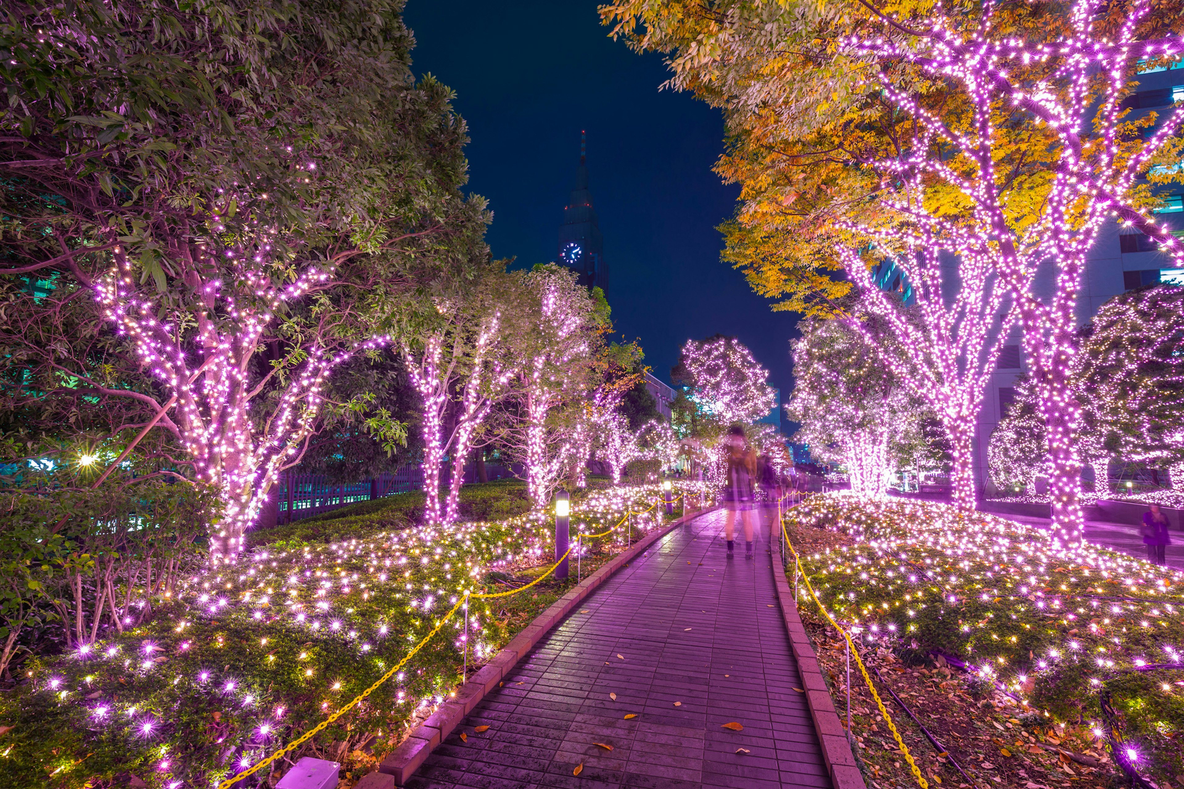 Small white lights are wrapped around every tree lining a pathway. A blurred figure walks down the path