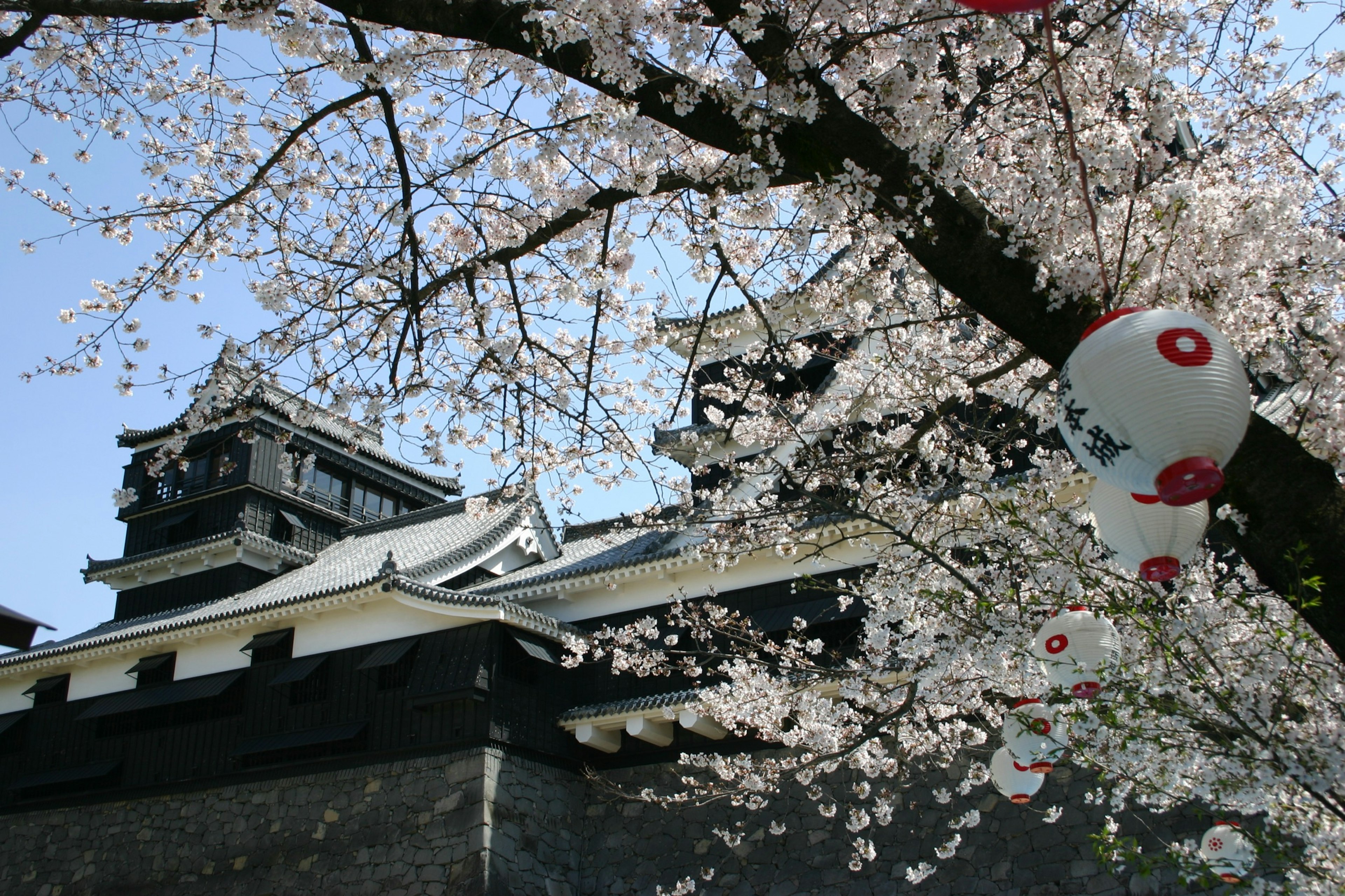 Cherry blossom, lanterns and castle