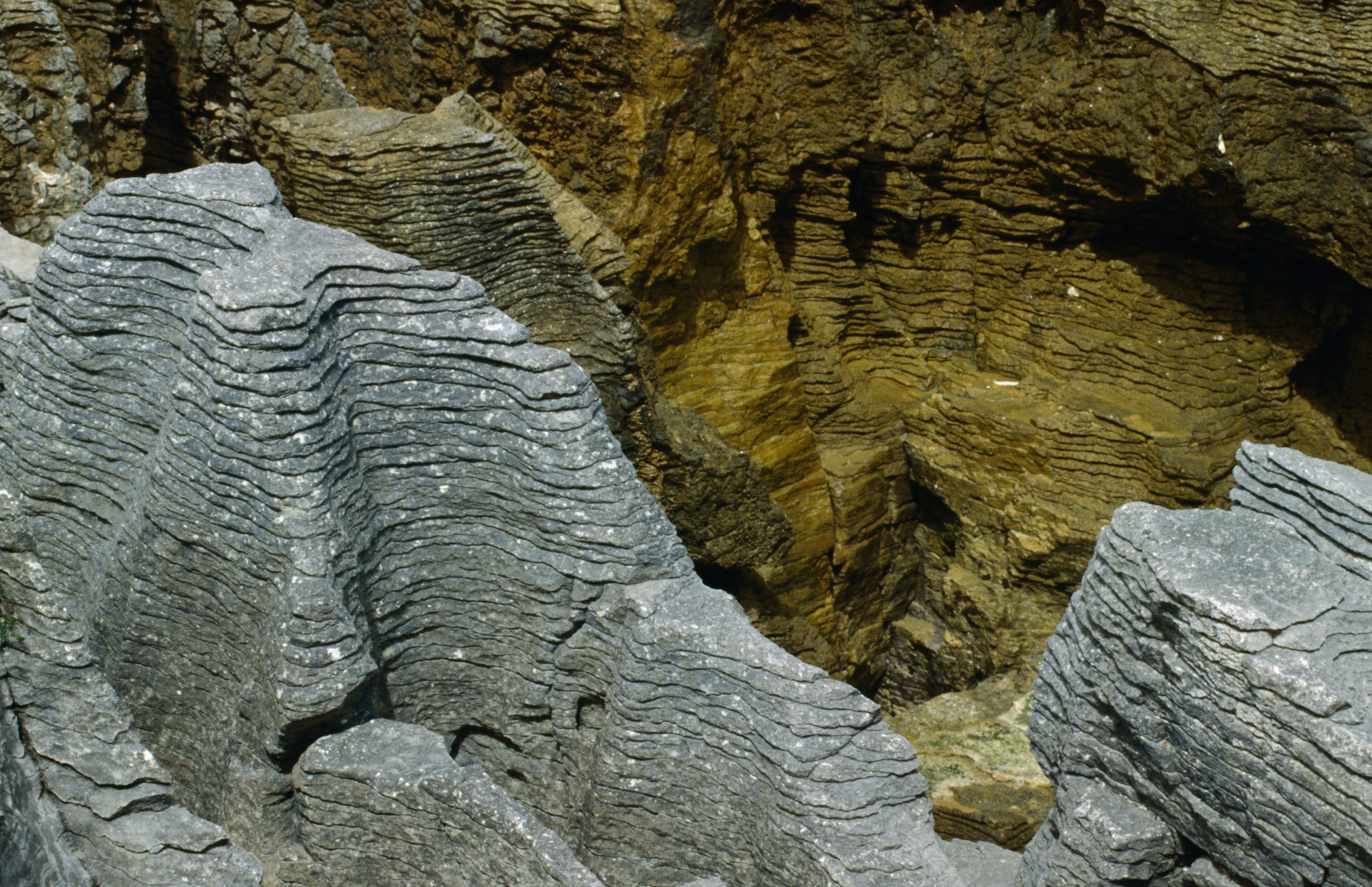 Punakaiki Pancake Rocks on New Zealand's South Island