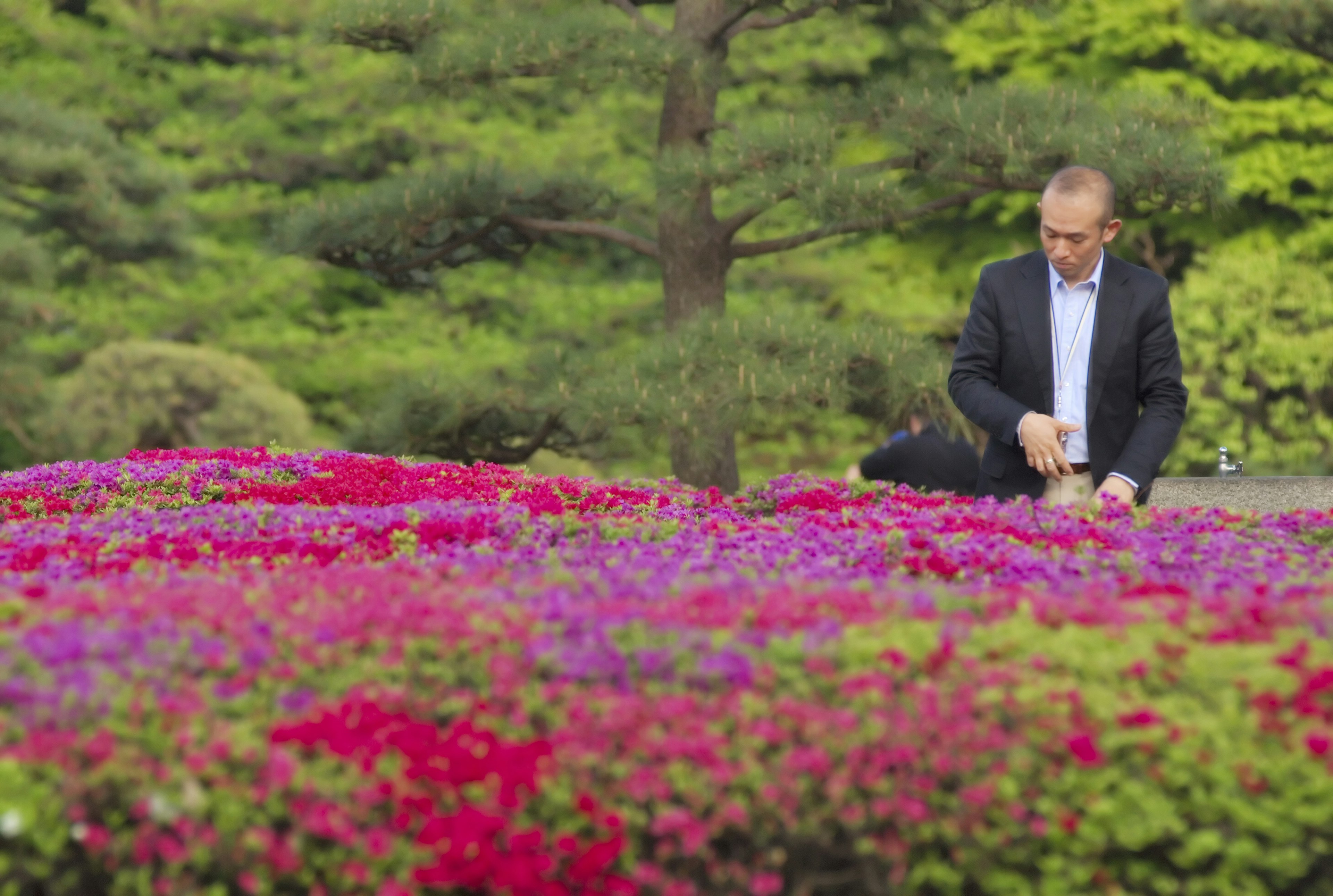 Man walking through Imperial Palace East Garden in Tokyo, Japan