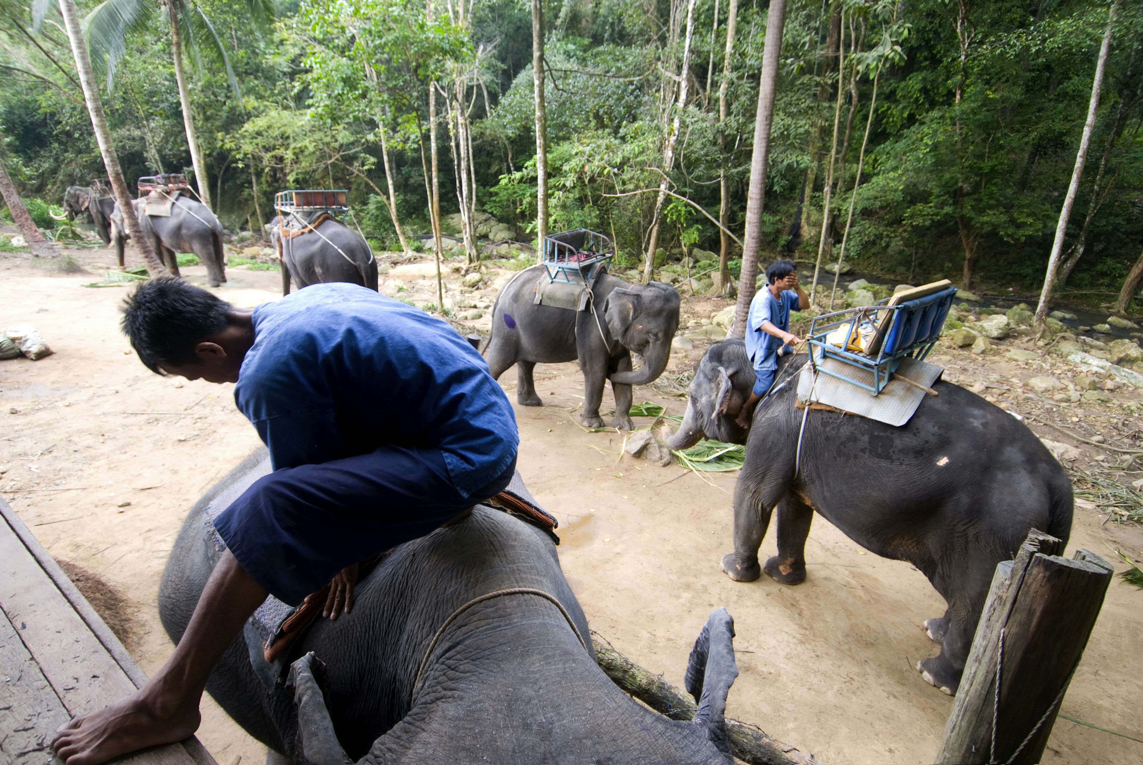 Elephant trekking to Namuang Waterfall