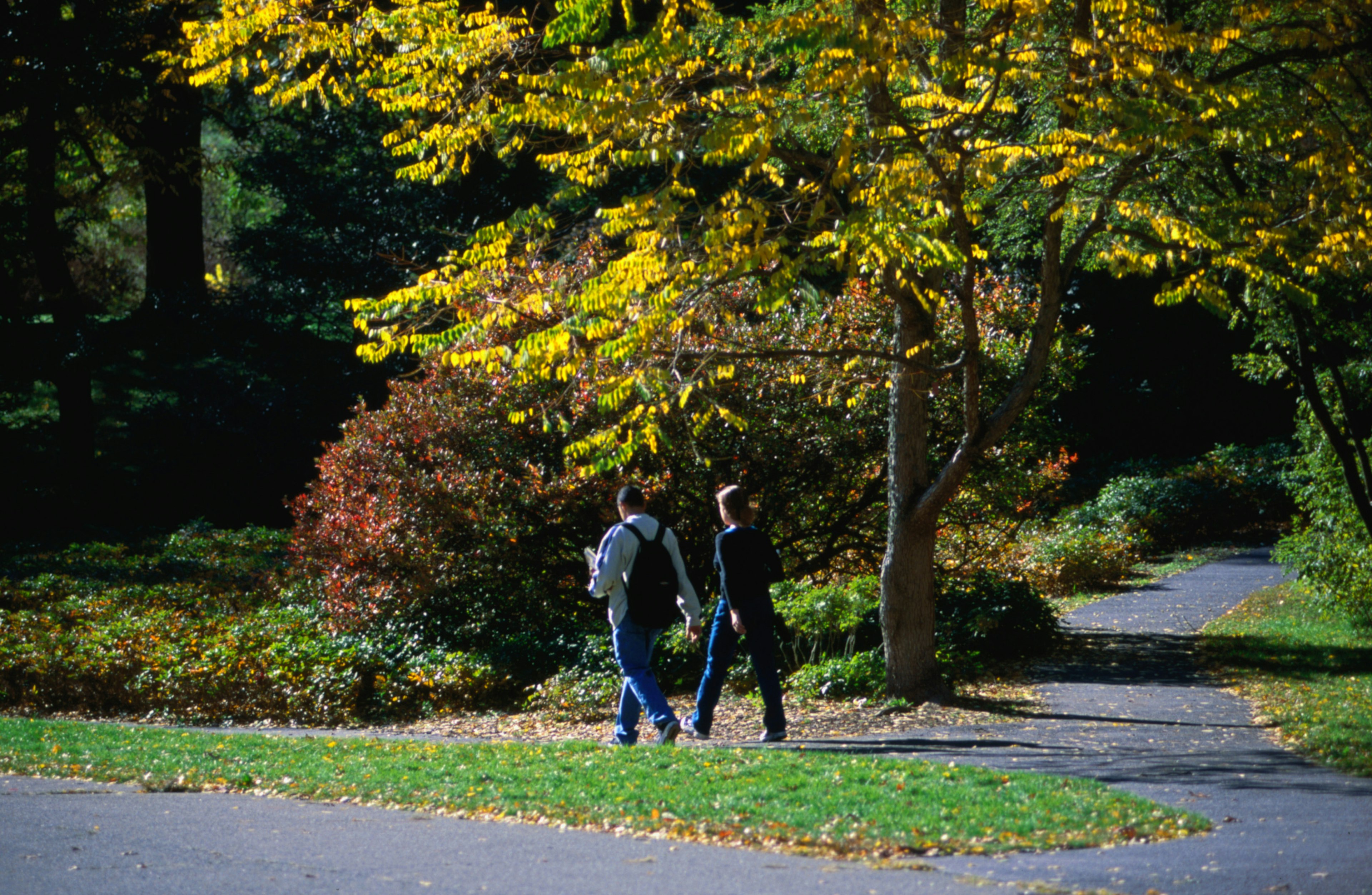 Two people walk in Arnold Arboretum, Boston