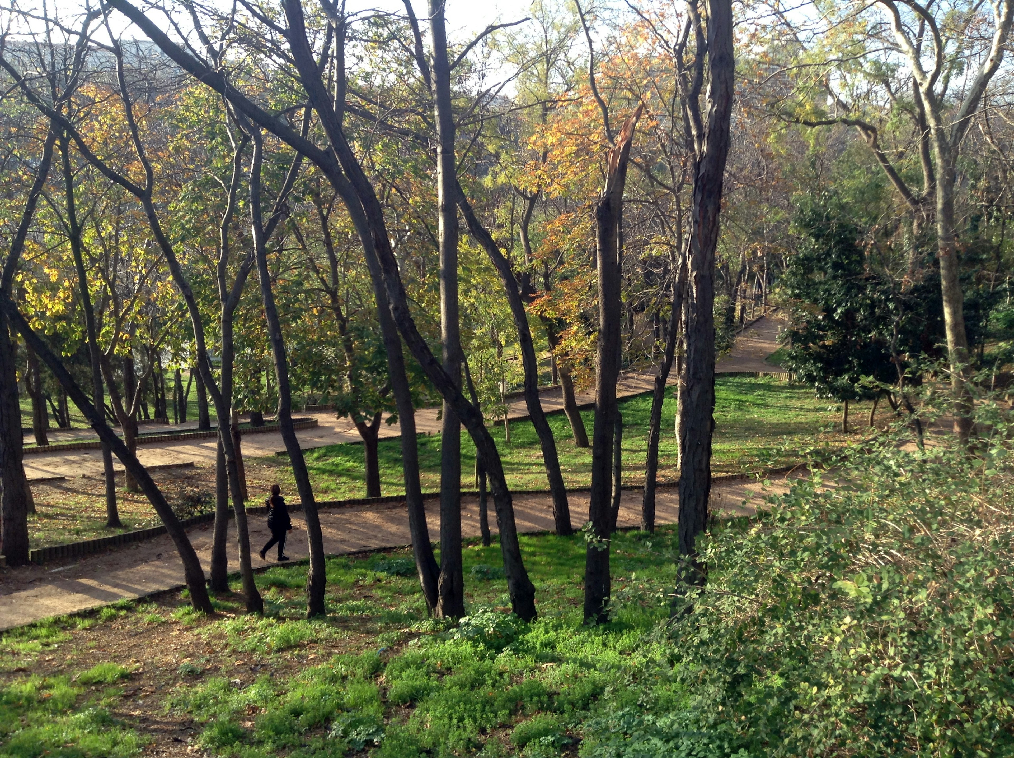 Person walking on a stone path among trees in Macka Park