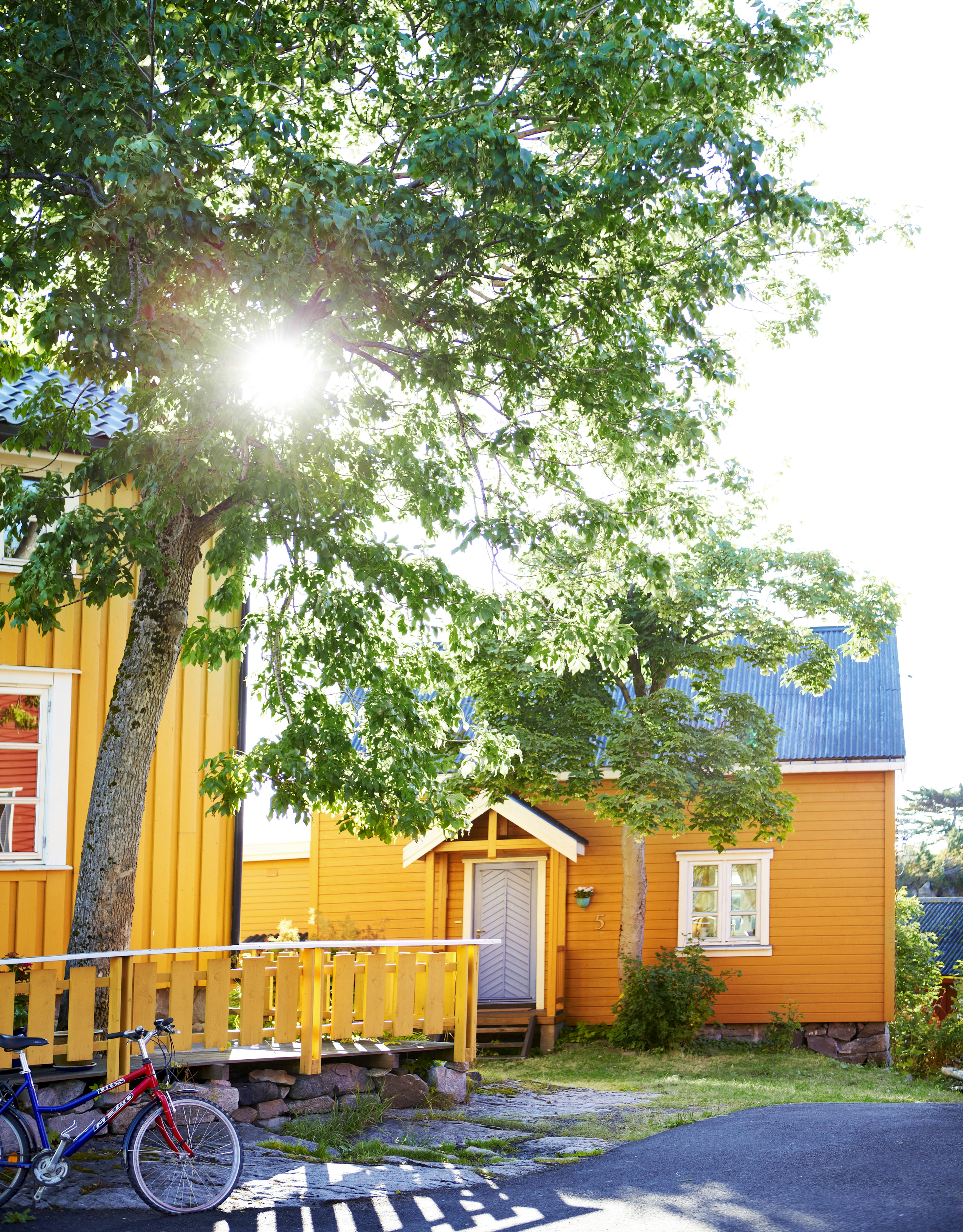 Yellow huts with the sun shining through a tree