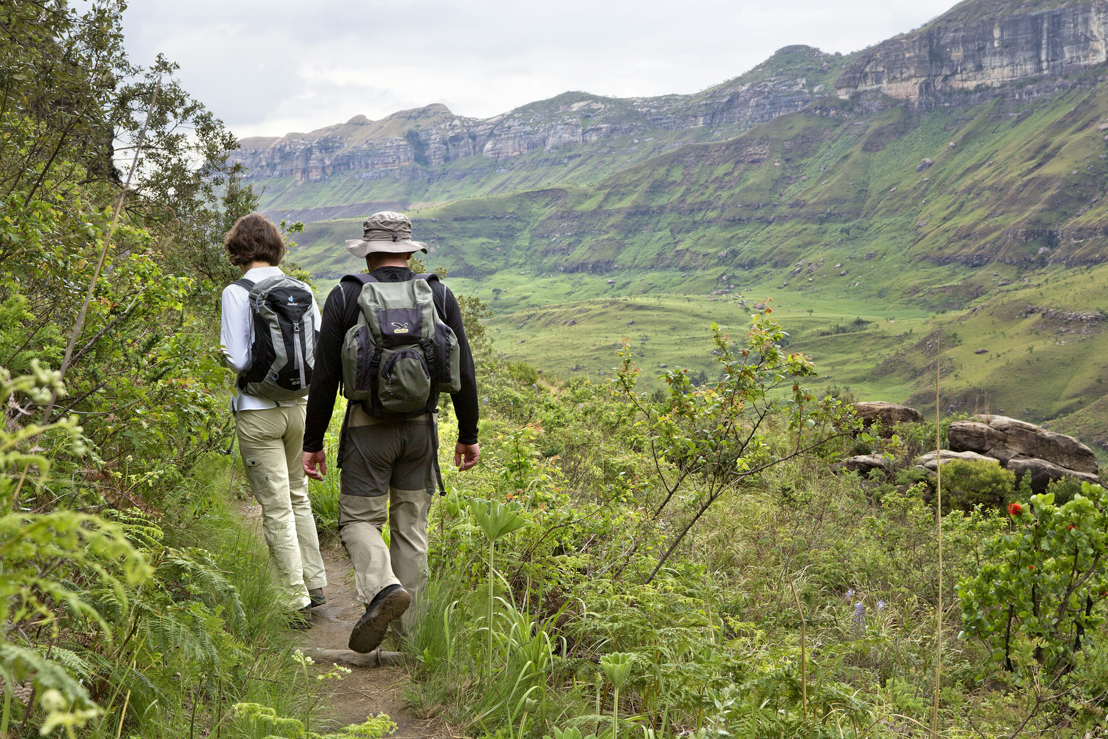 Hikers walking through the lush green Tugela Gorge