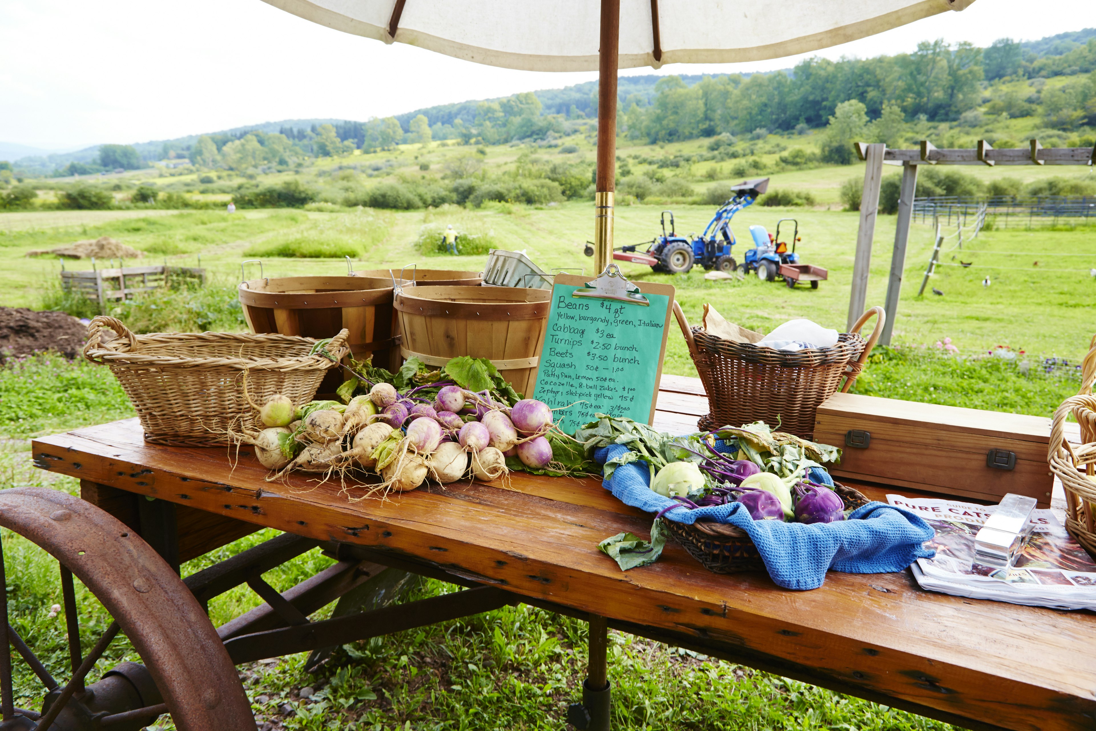 Vegetable produce at a Farmer Stand in Catskills