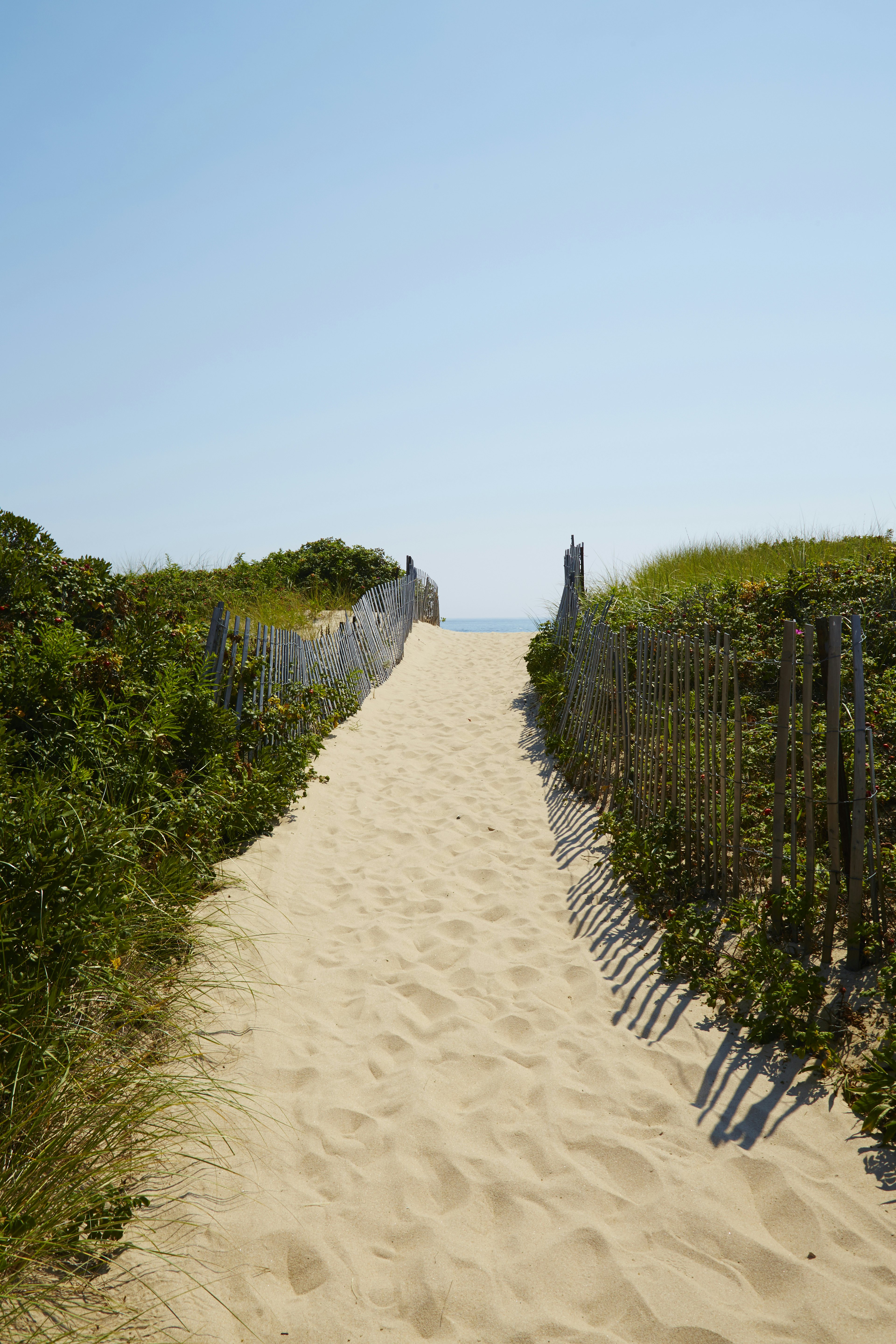 Dune walkway