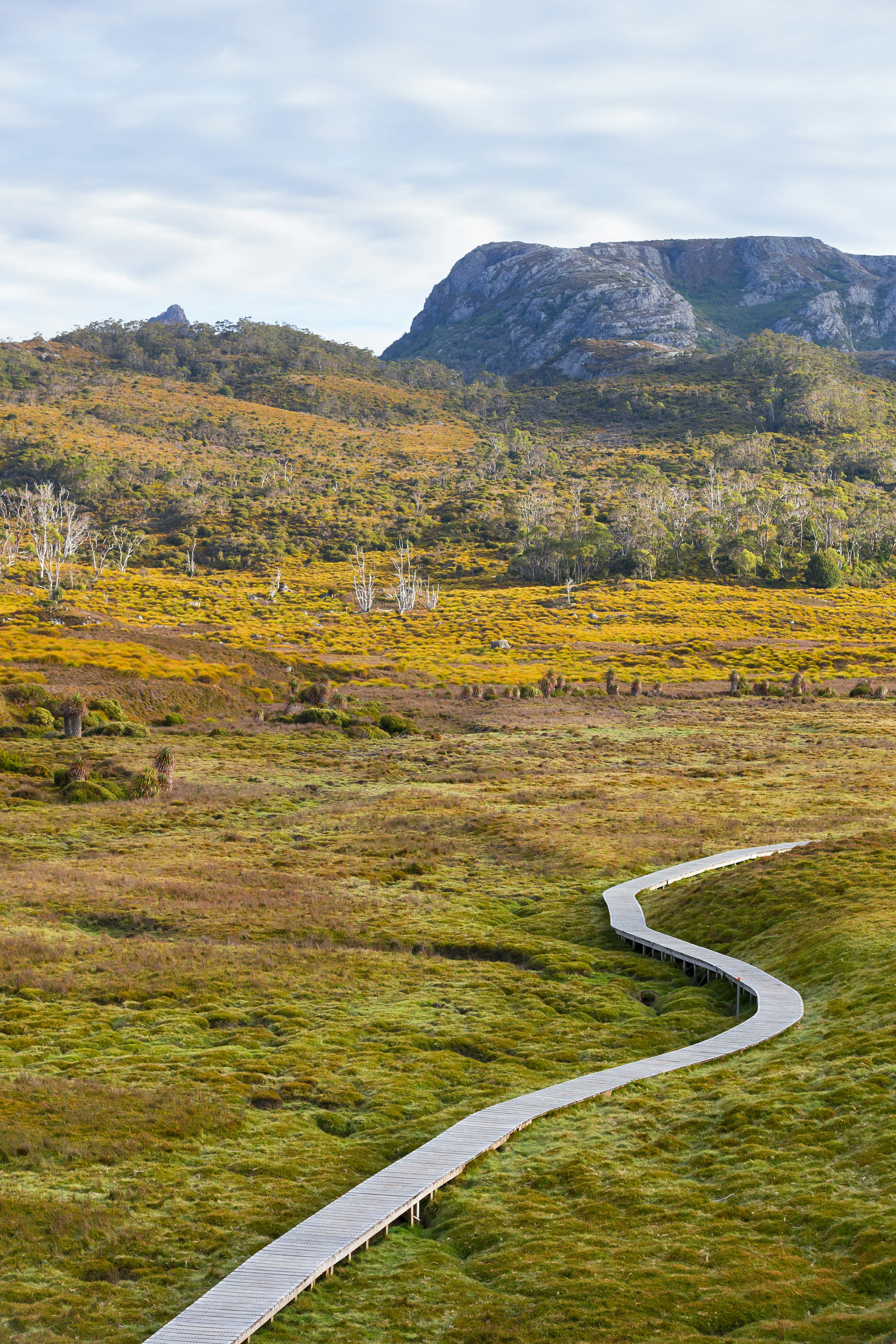 Overland Track, Cradle Mountain