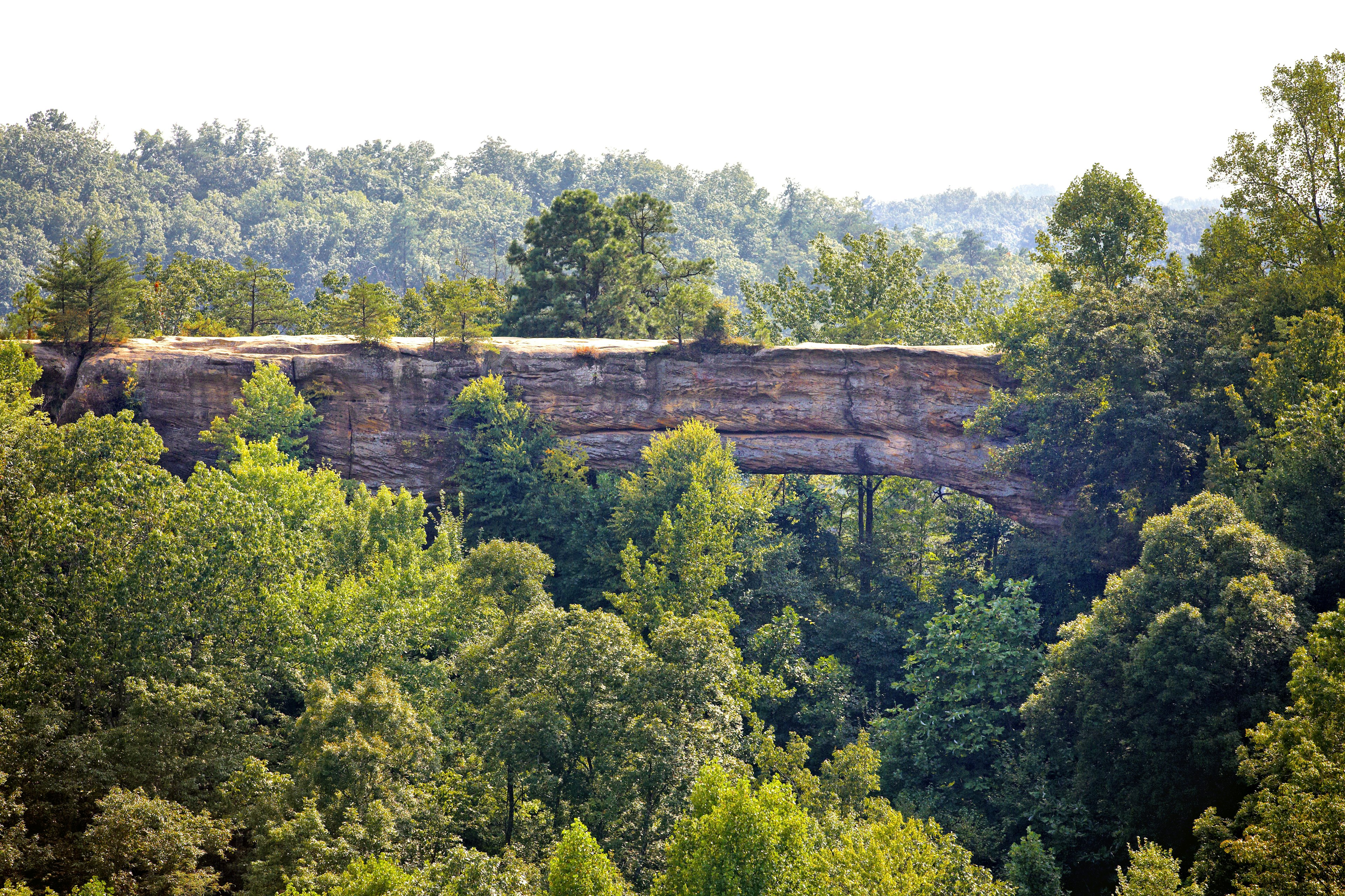 Red River Valley in Kentuckey's Daniel Boone National Forest