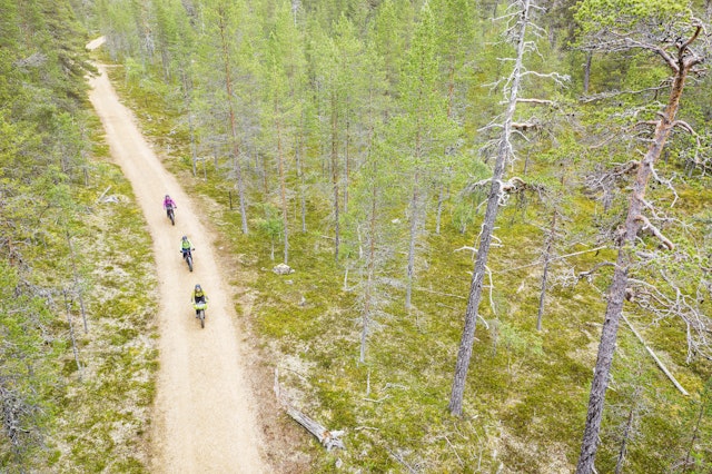 Aerial view of 3 cyclists on a path through the Urho Kekkonen National Park, Finland