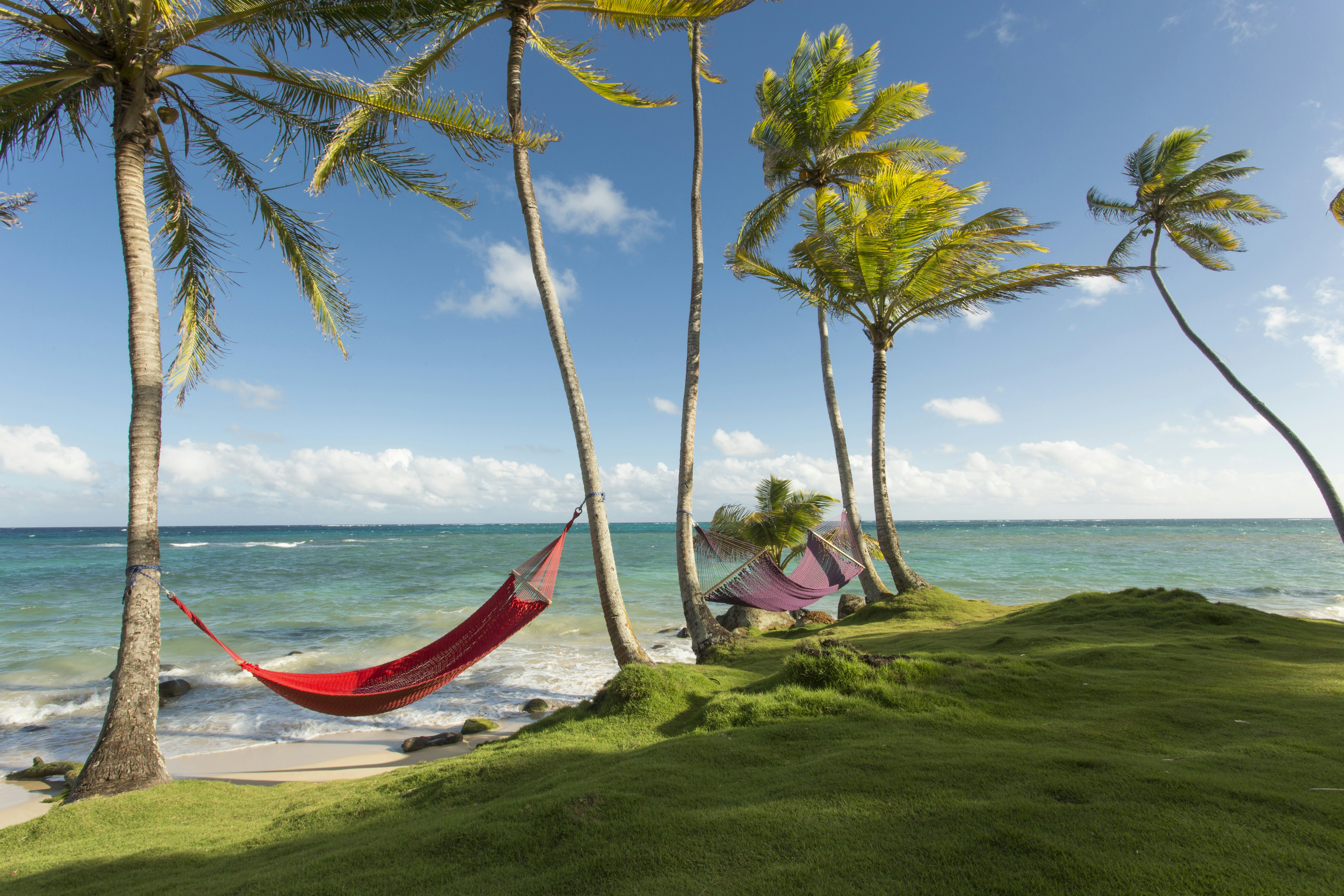 Hammocks strung between palm trees at the point where lush grass meets golden sand and the waves lap on the shore