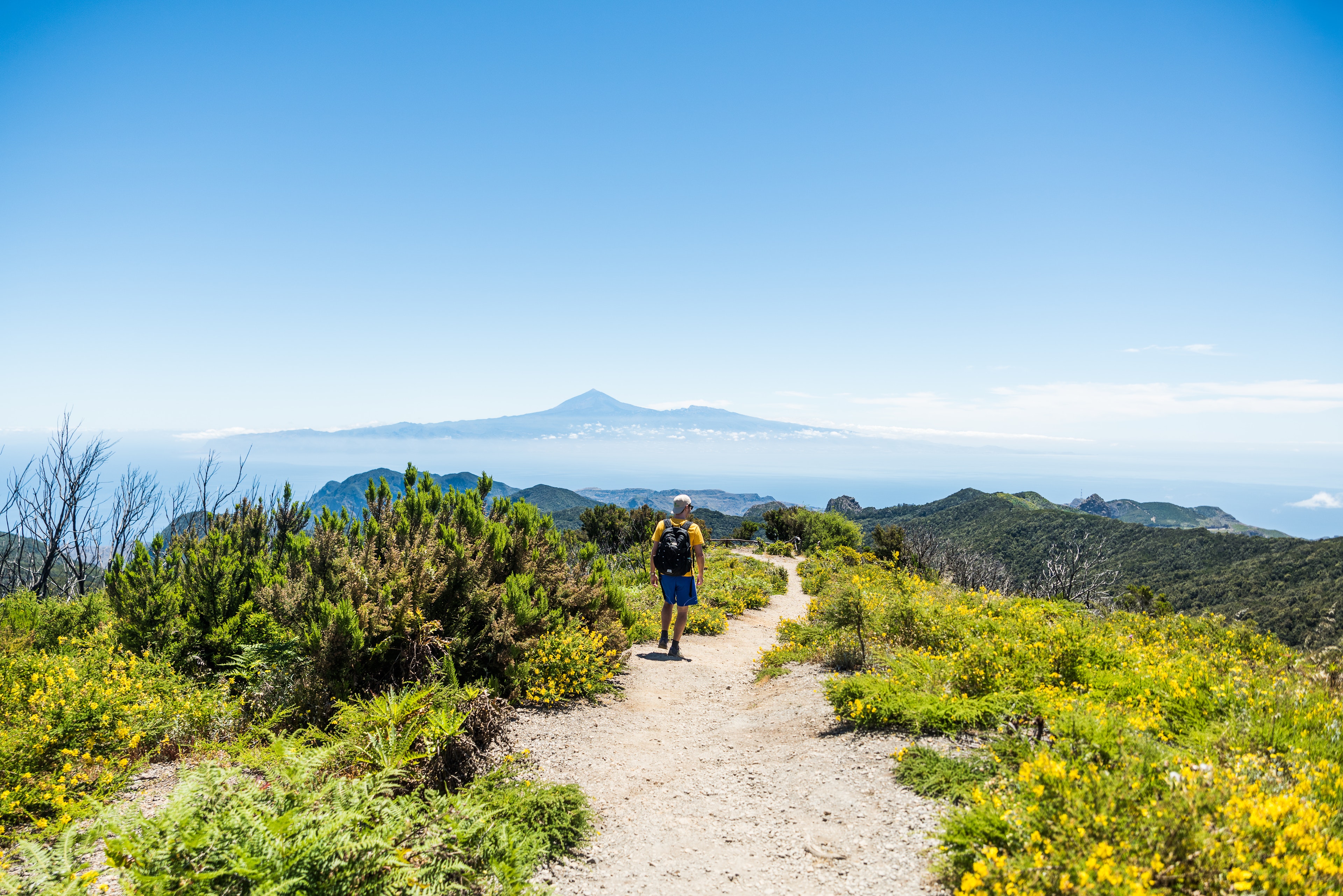 A hiker on a sandy path through low-level brush, heading toward a mountain in the distance