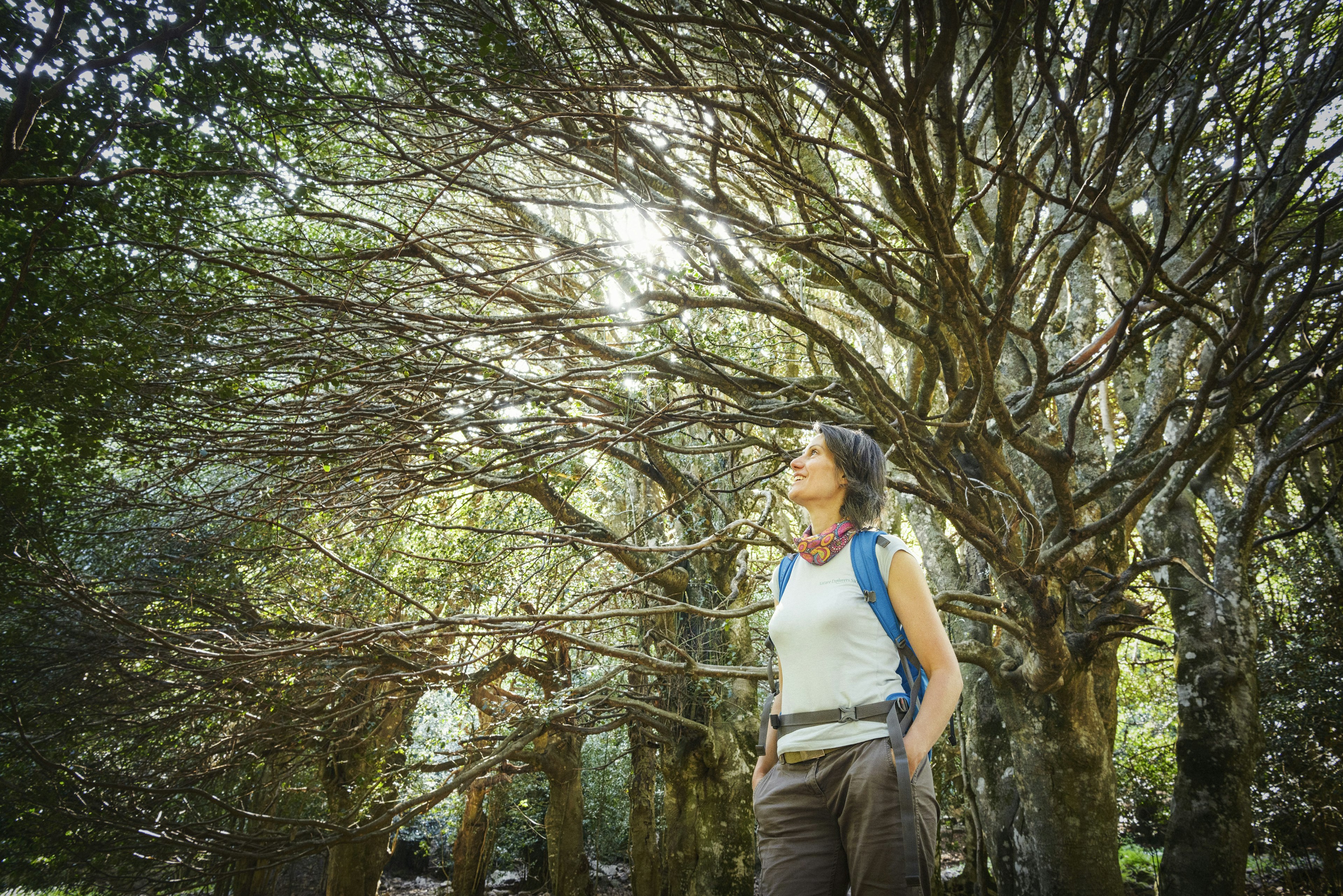 The fairytale forests of beech and oak trees in the Madonie National Park