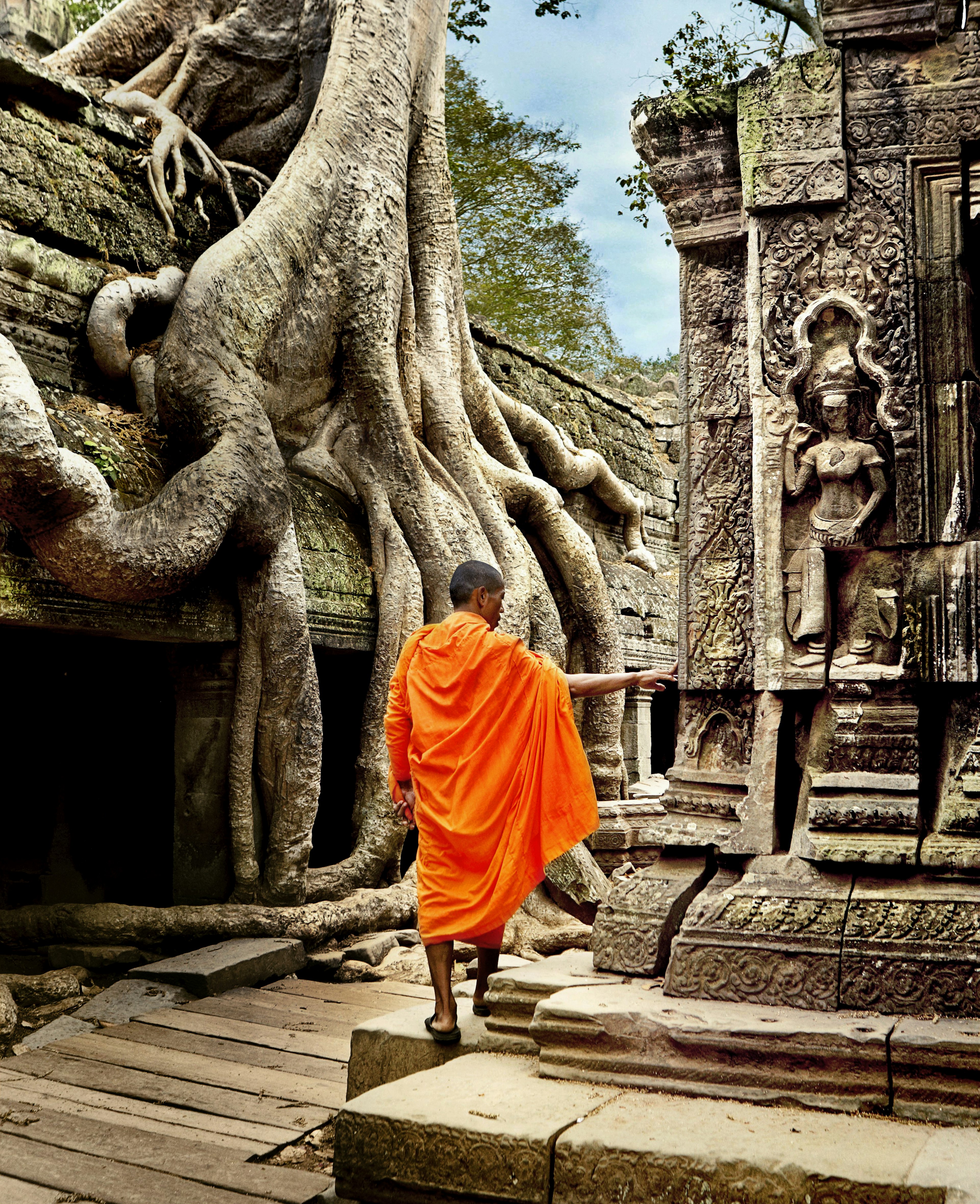 A monk wearing traditional orange robes moves among the temple buildings at Angkor. Tree roots are growing over and within the ancient walls