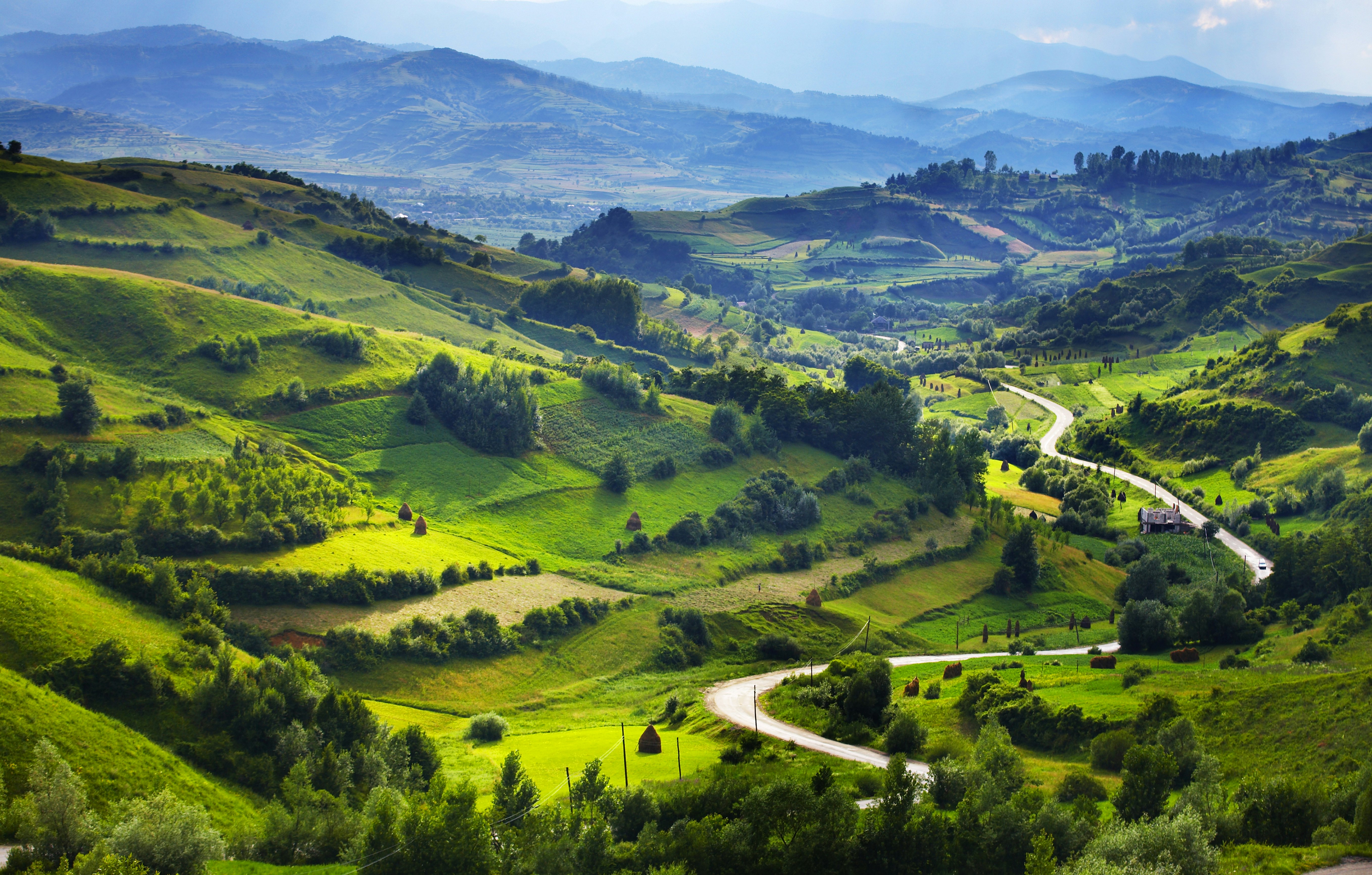 Overview of a road winding through a lush green valley in Transylvania.