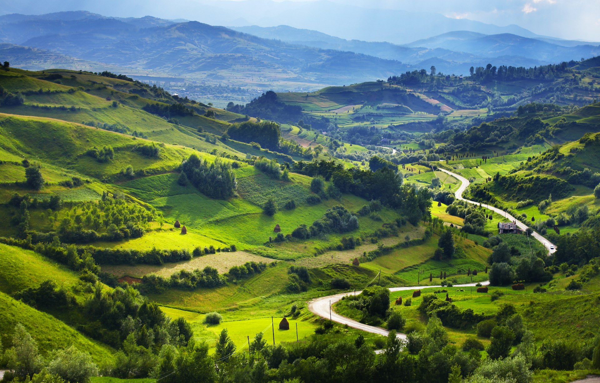 Overview of a road winding through a lush green valley in Transylvania. 