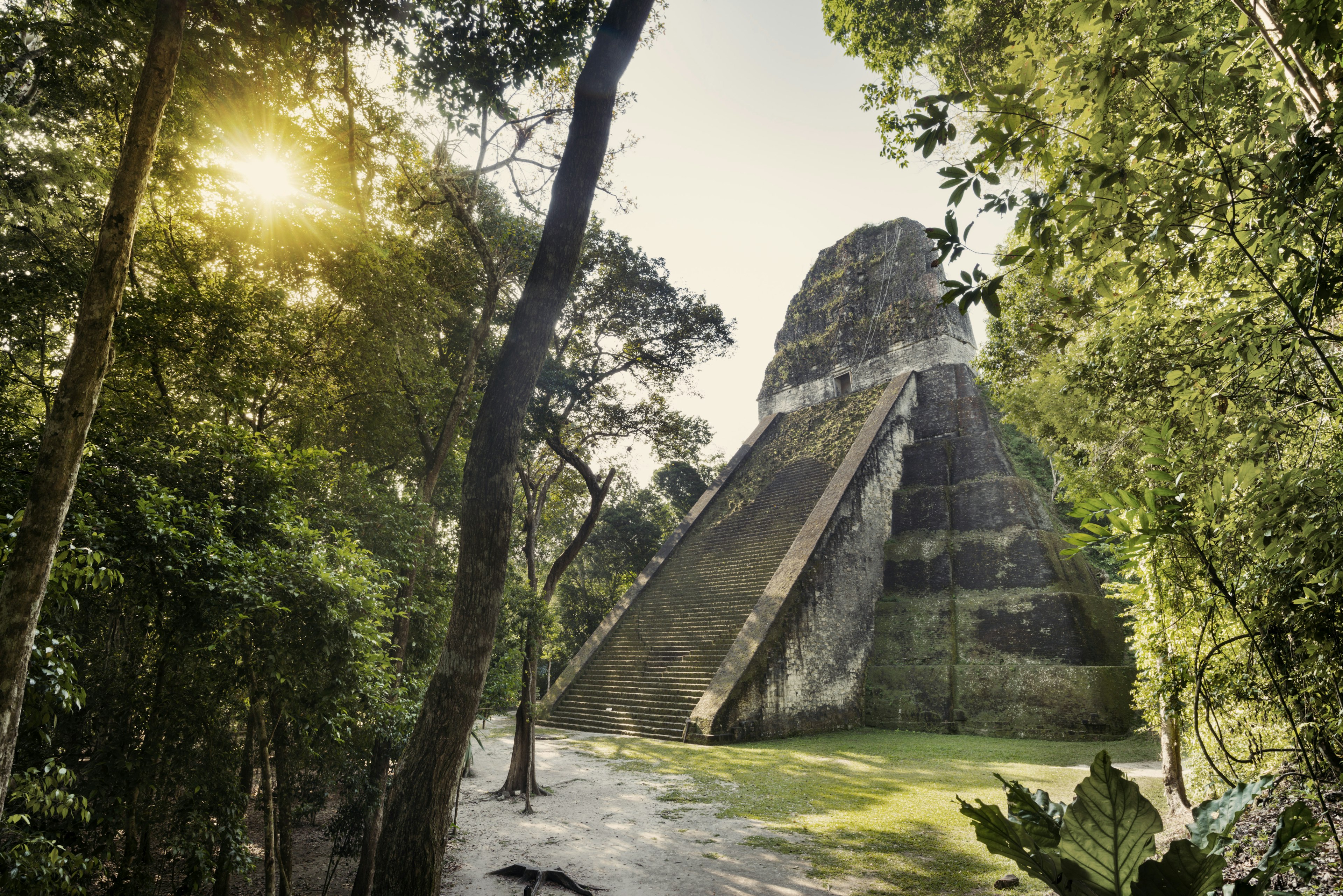 The pyramid of Temple V in Tikal pictured at sunrise in the jungle of Guatemala
