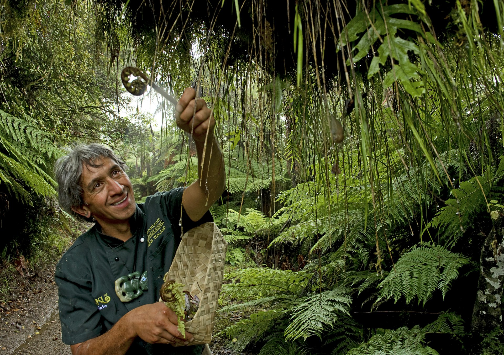 A Maori guide showing local plants used by the Maori people in New Zealand