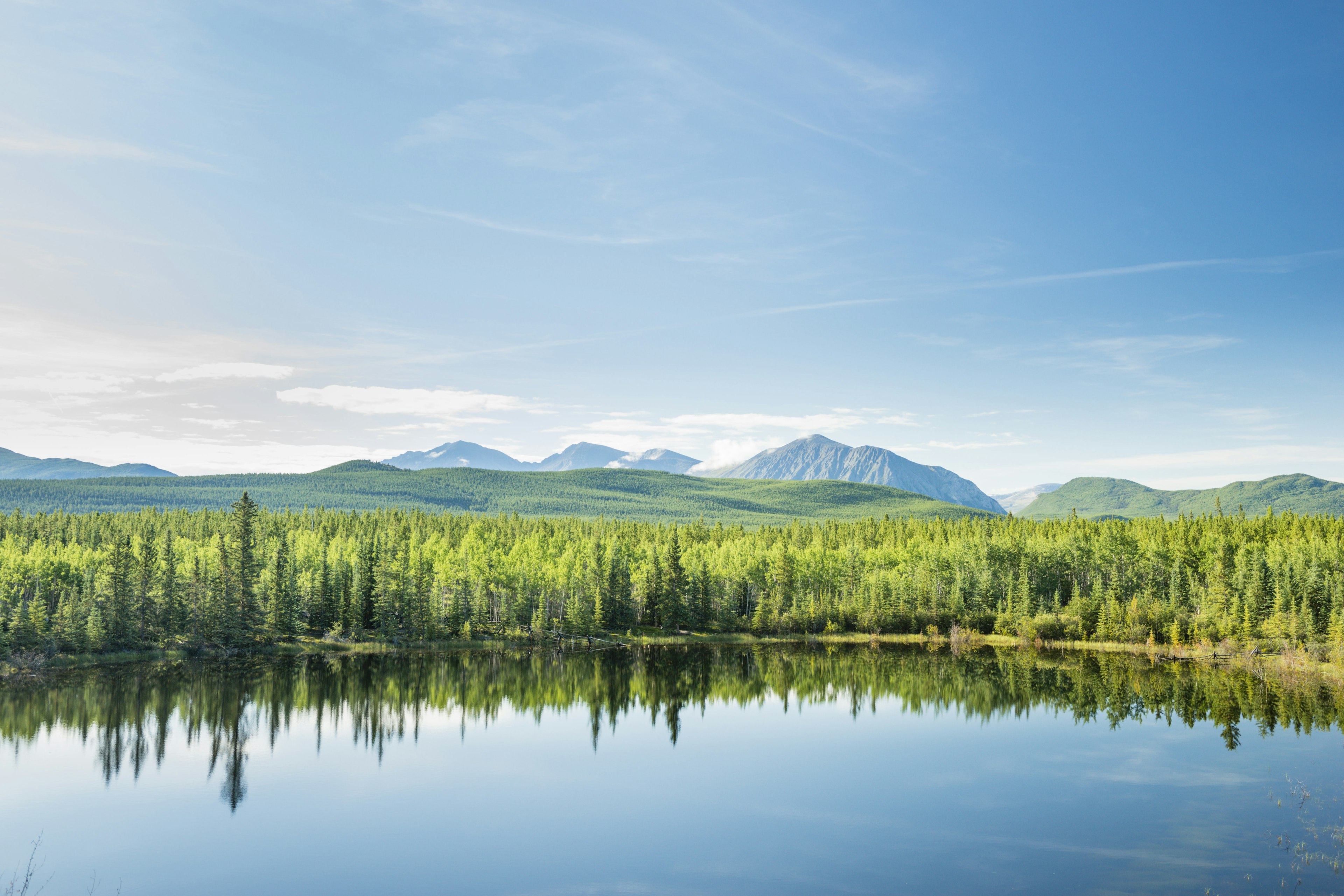 Green trees and mountains in front of a lake.